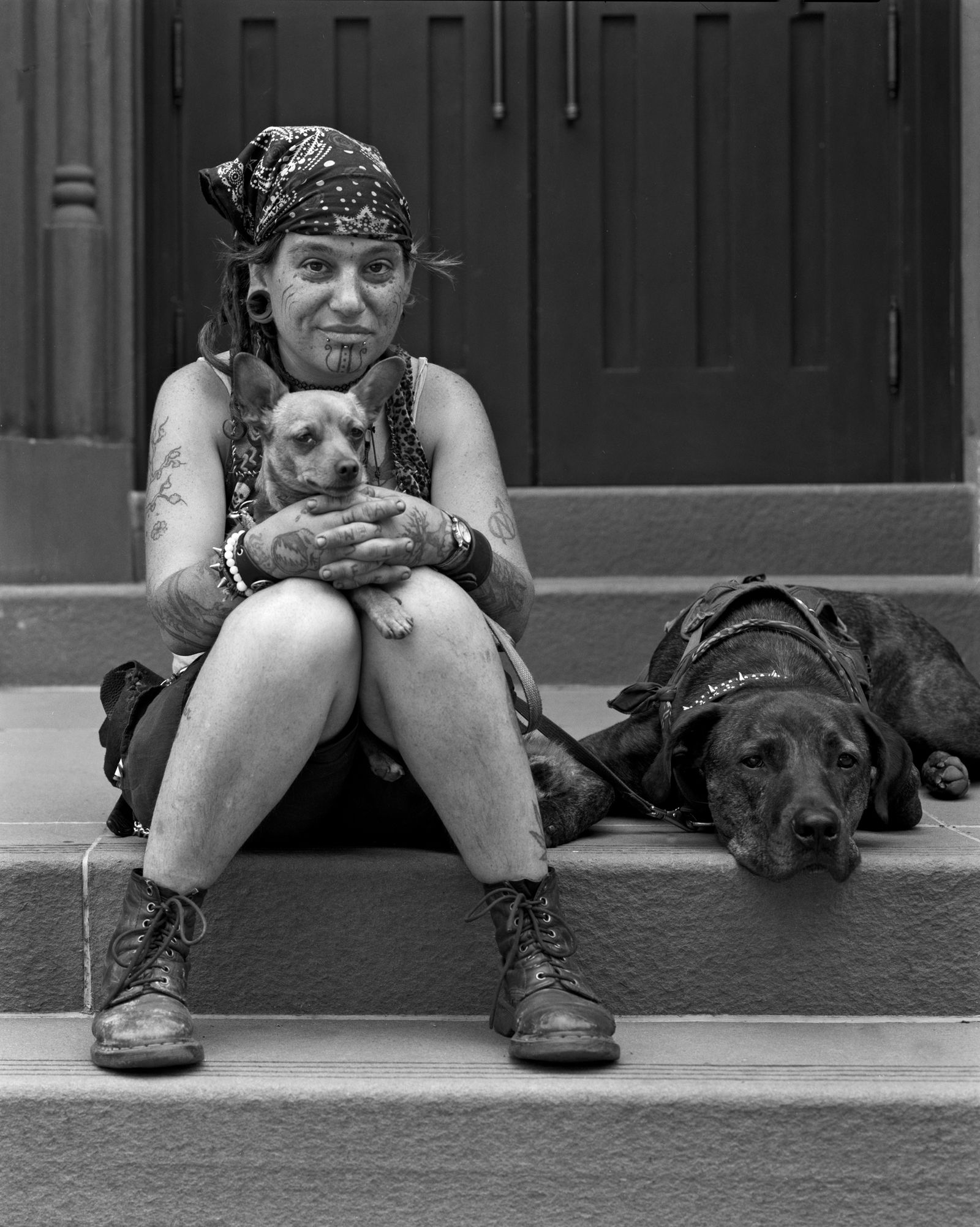 © Robert Kalman - Kitty with Spit and Brownie