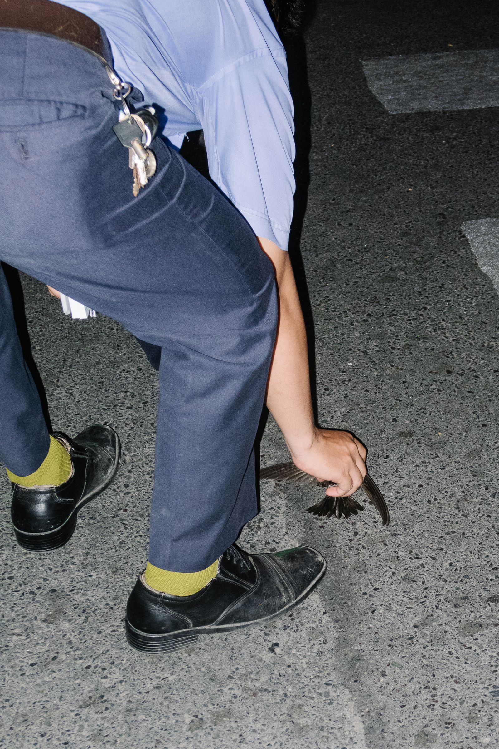 © Simone Sapienza - A Vietnamese officer, managing a scooter-parking in HCMC, pick up a dead bird for the street.