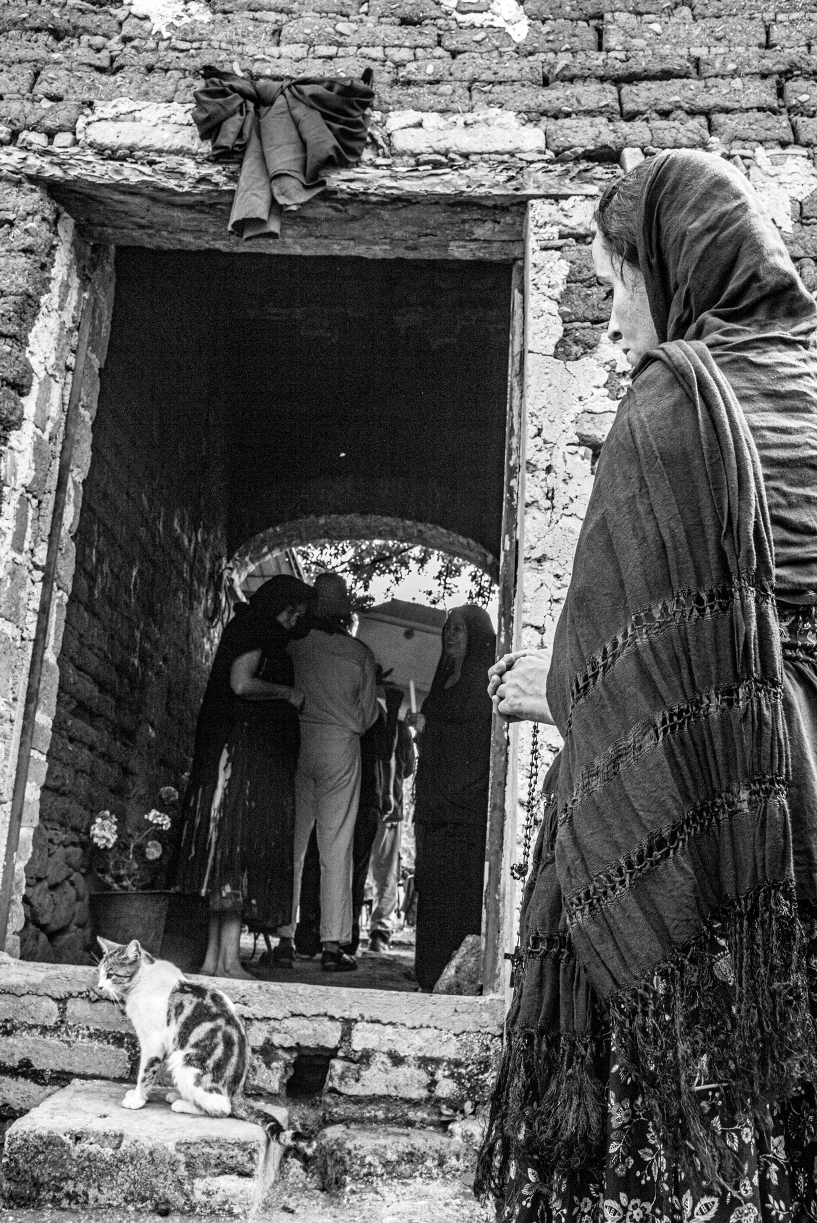 © Eduardo Moreno - Accompanying the procession with a cat on the main entrance