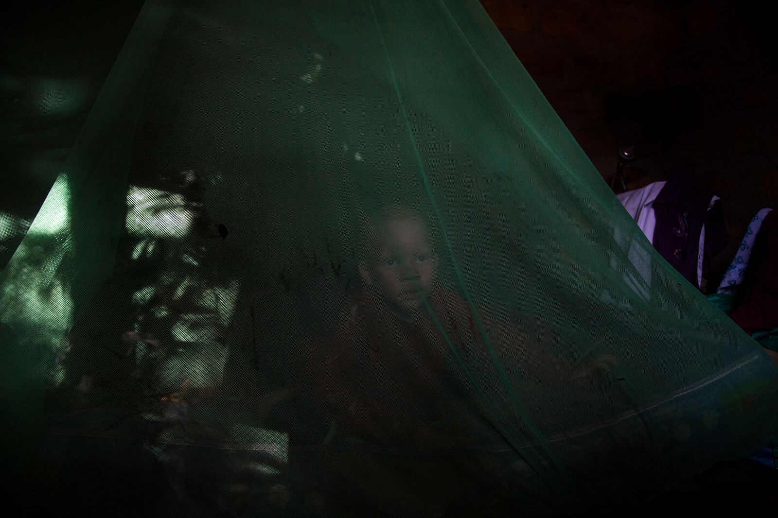 © Alejandro Olivares - Abdala Alfan (4)