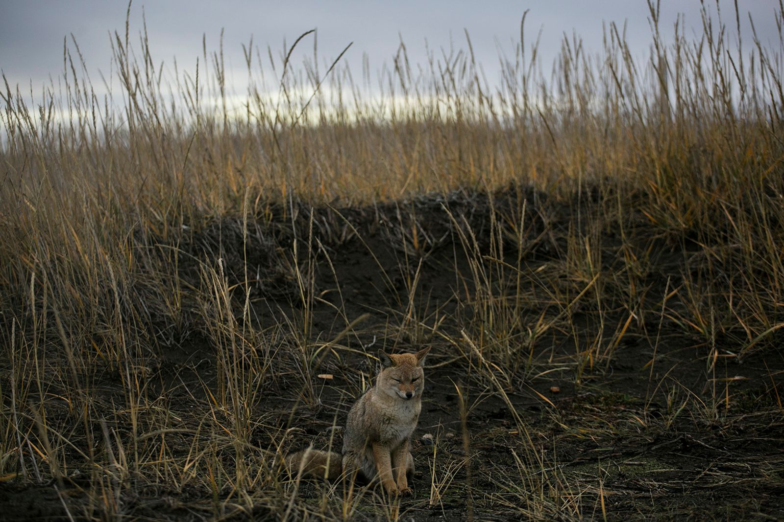 © Alejandro Olivares - Image from the The beginning of the wind photography project