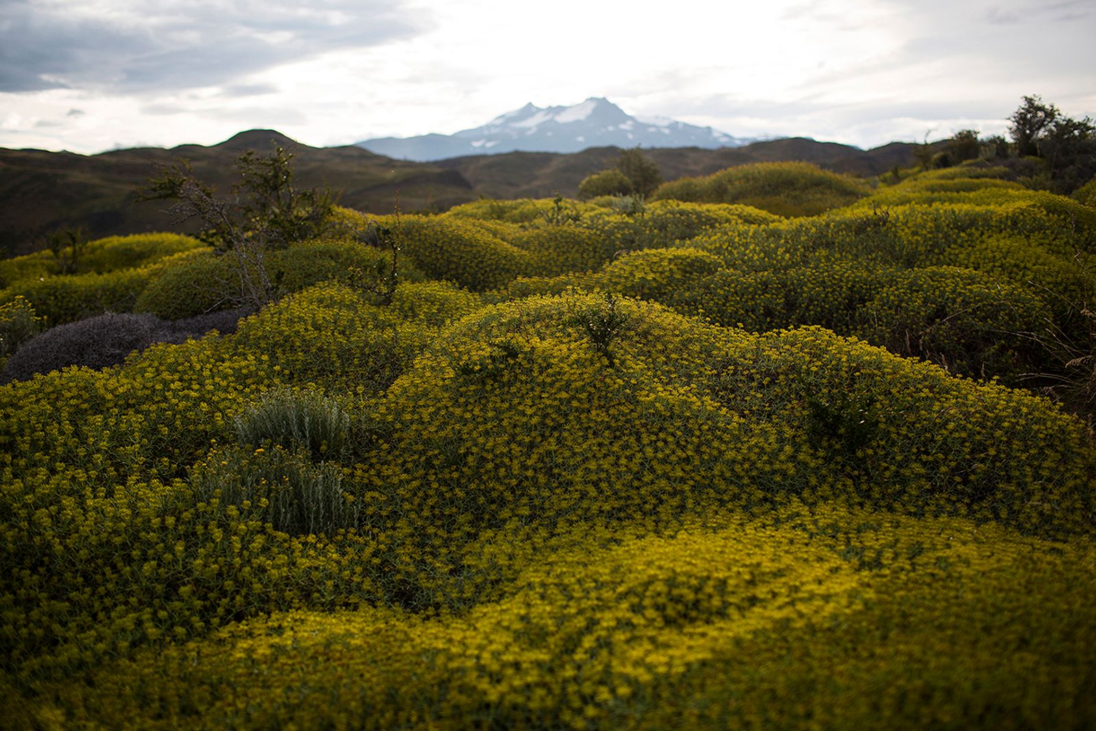 © Alejandro Olivares - Image from the The beginning of the wind photography project