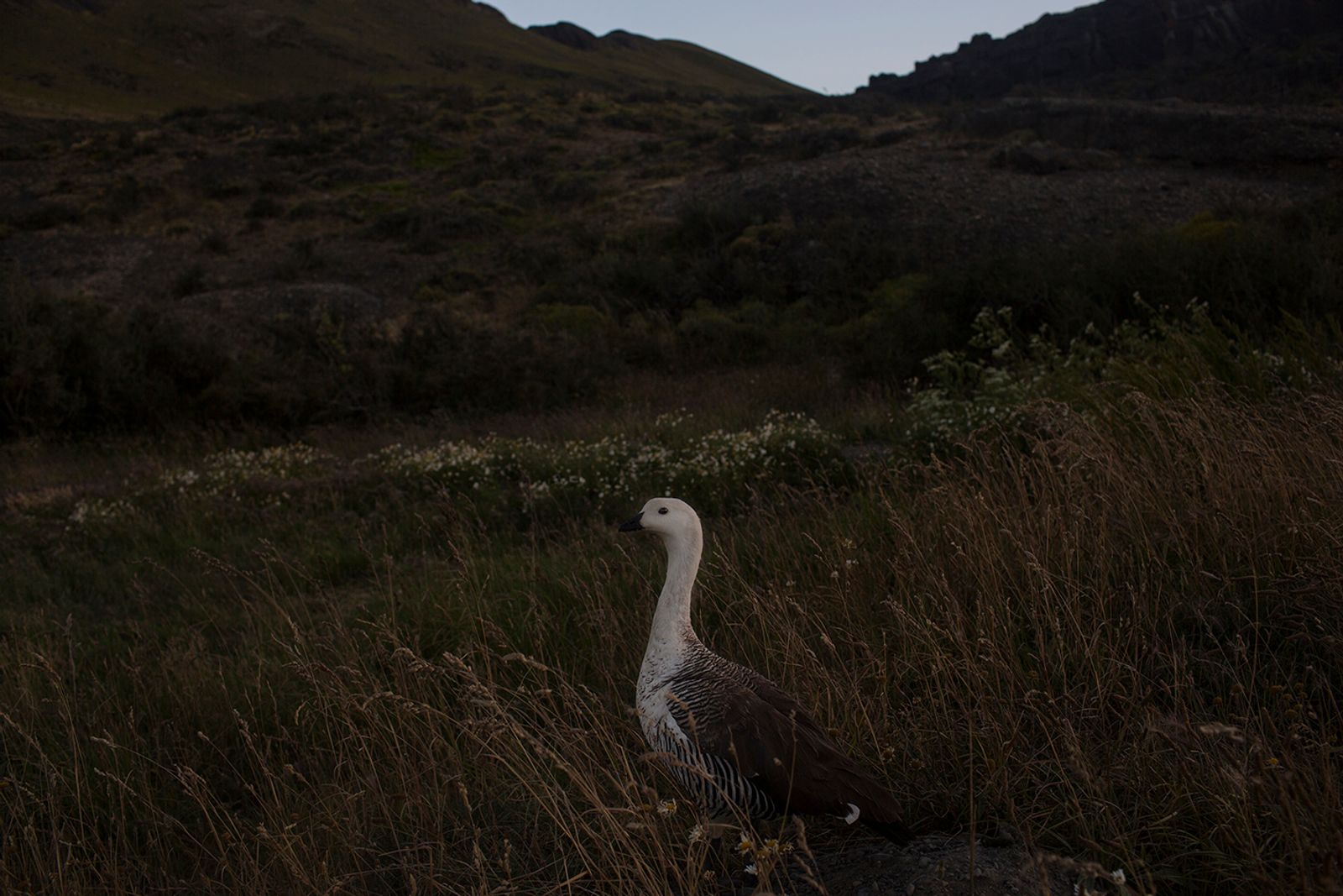 © Alejandro Olivares - Image from the The beginning of the wind photography project