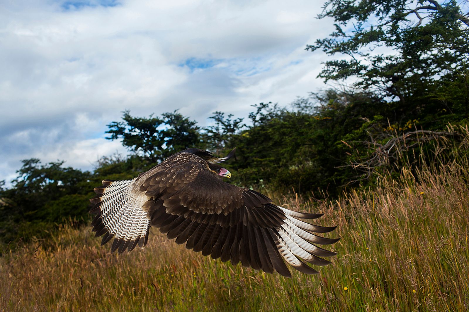 © Alejandro Olivares - Image from the The beginning of the wind photography project