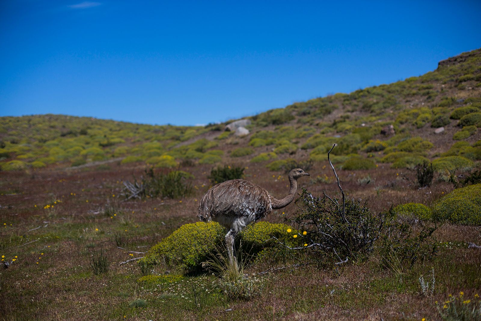 © Alejandro Olivares - Image from the The beginning of the wind photography project