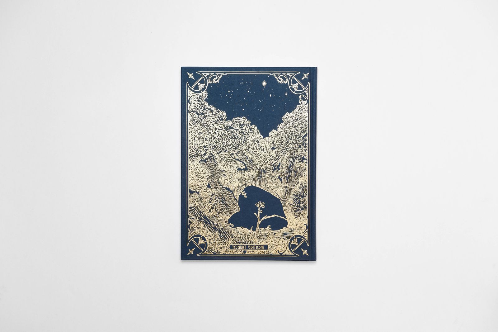 Image from a project on PhMuseum