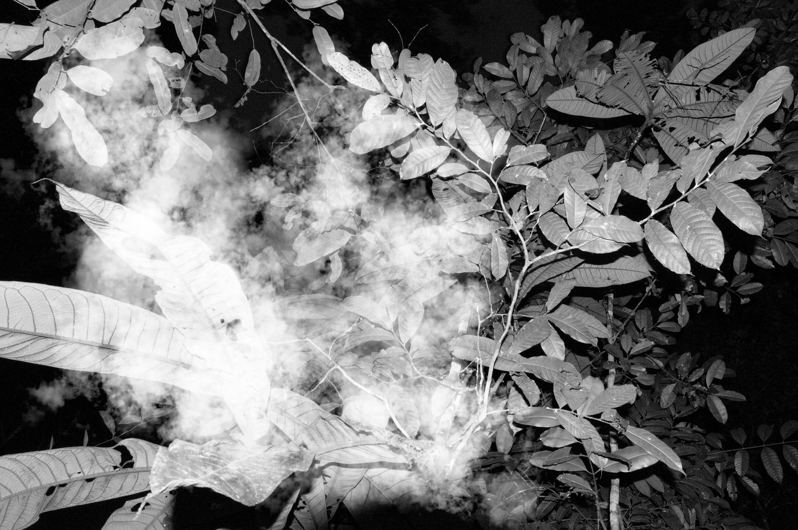 © Fabian Albertini - Image from the Pindorama photography project