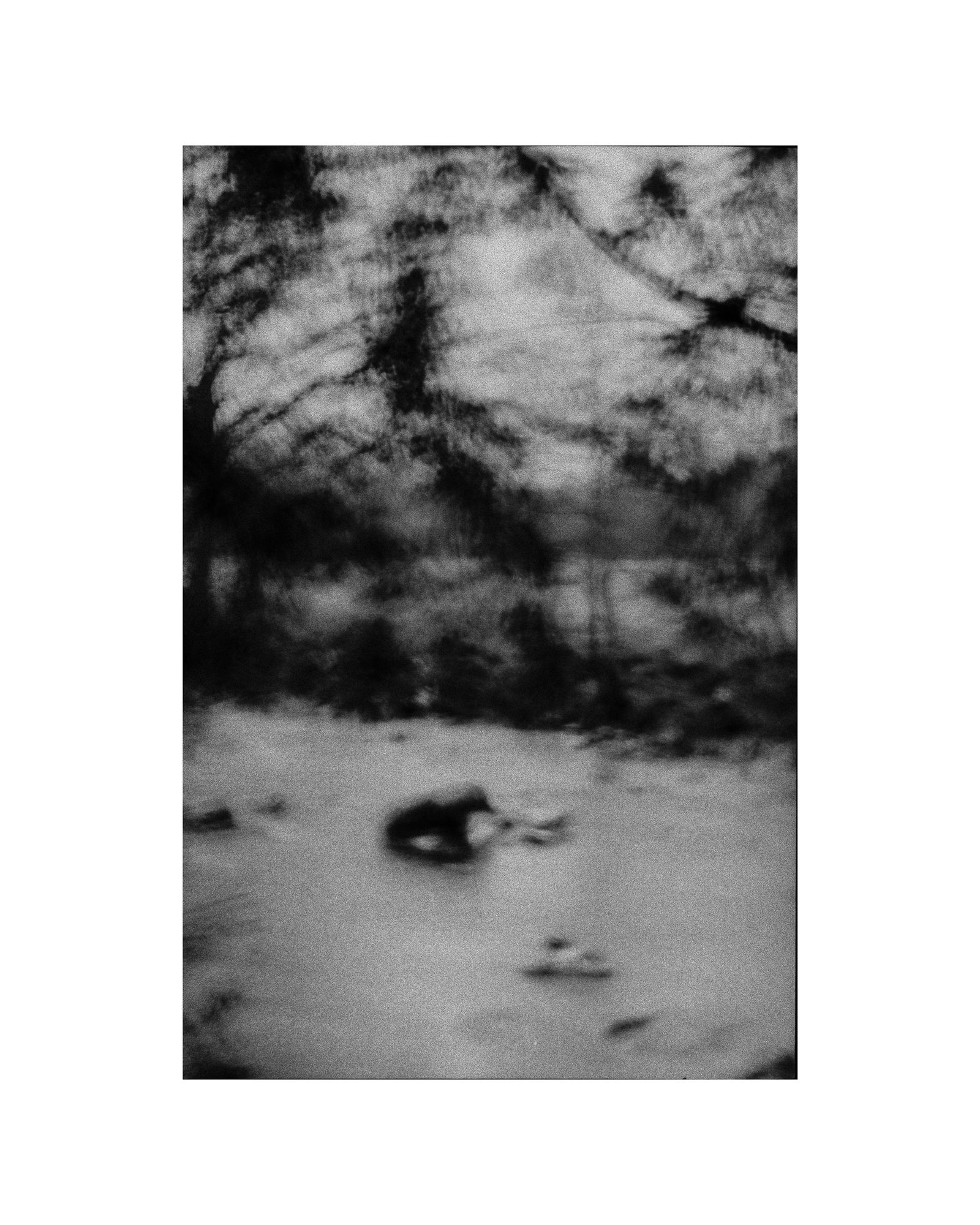 © George Selley - Image from the A Forest is Not a Free Market photography project