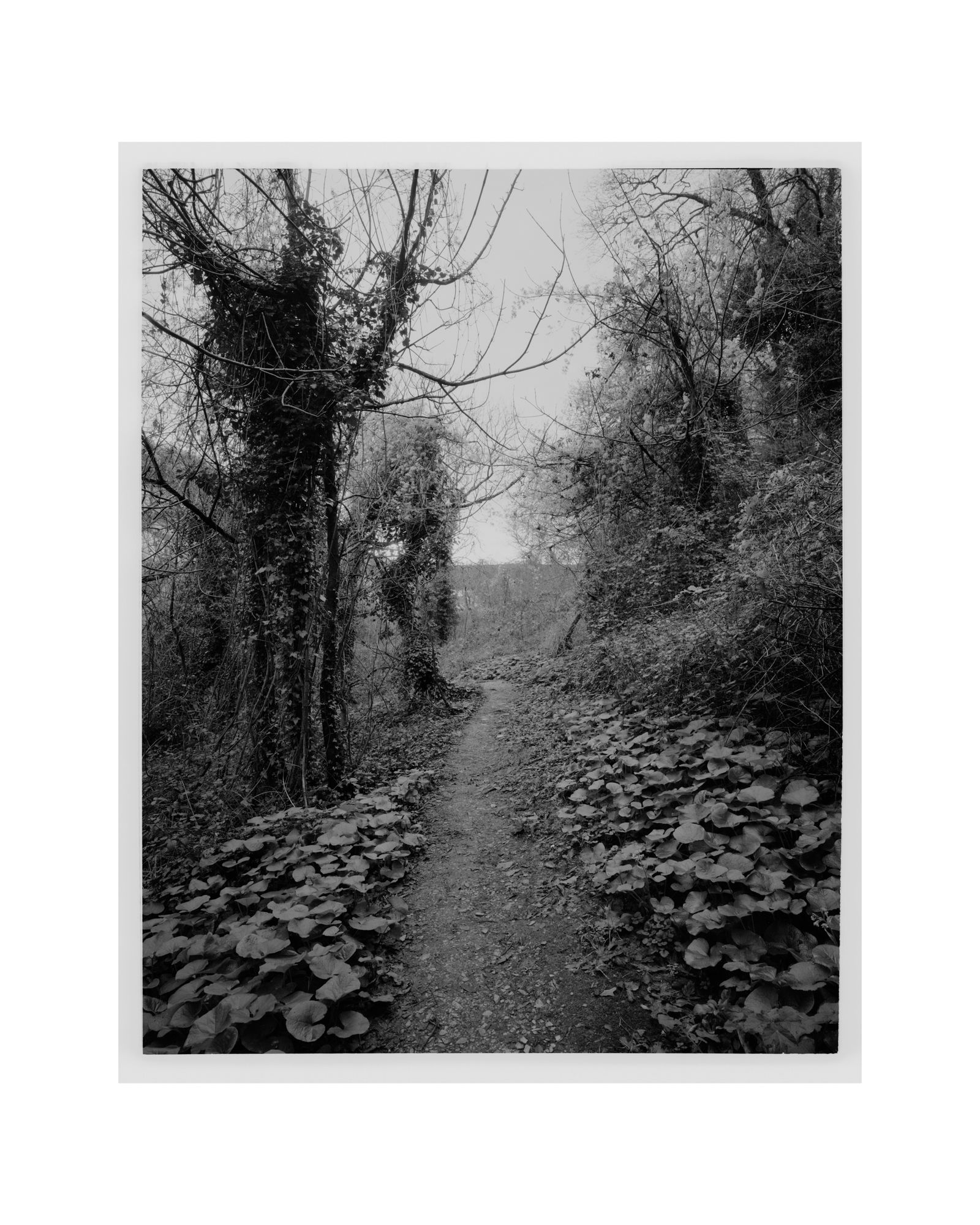 © George Selley - Image from the A Forest is Not a Free Market photography project