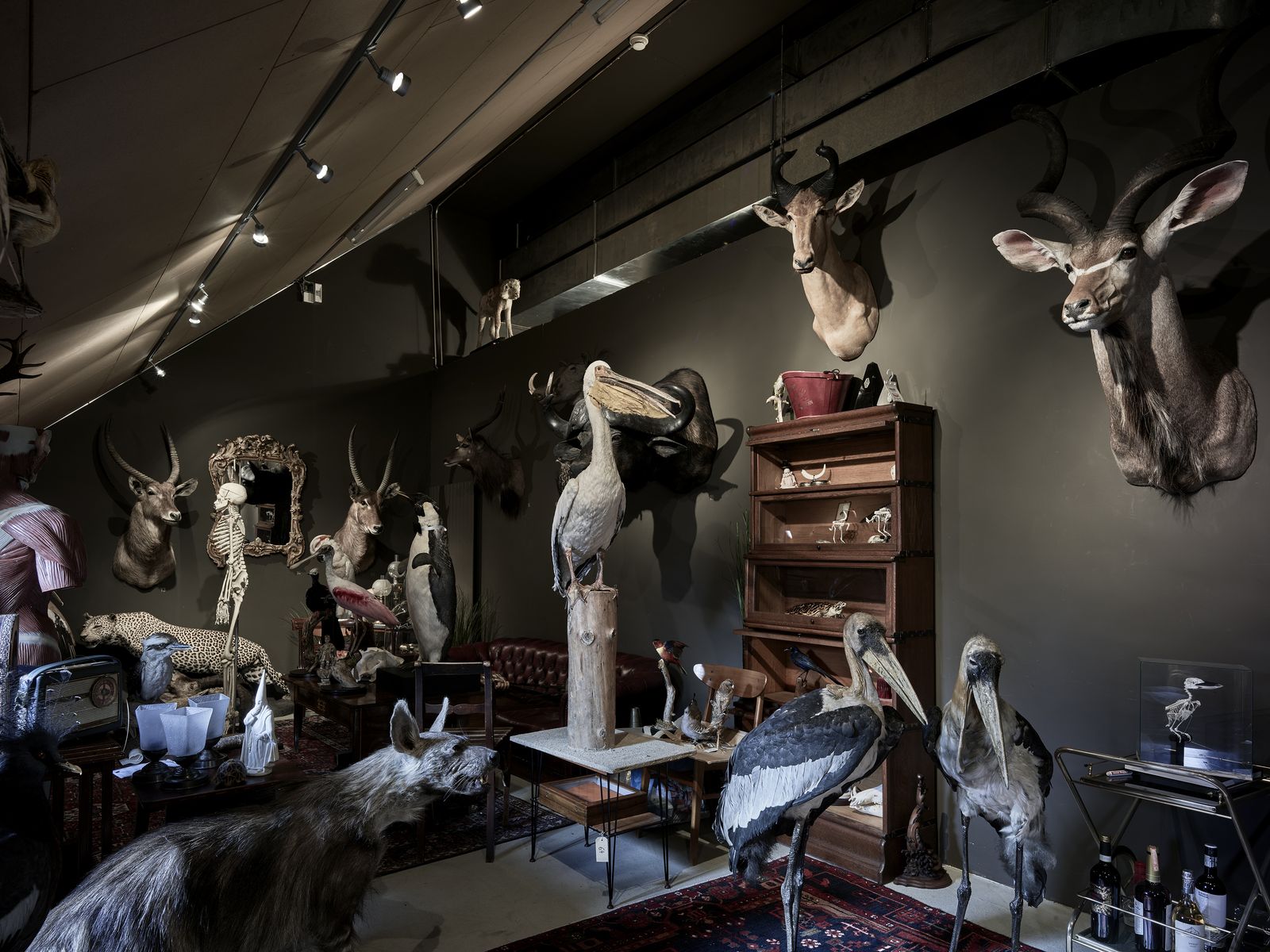 © Kostas Maros - Storage room of a taxidermist and magician in Zürich. This room is full of surprises.