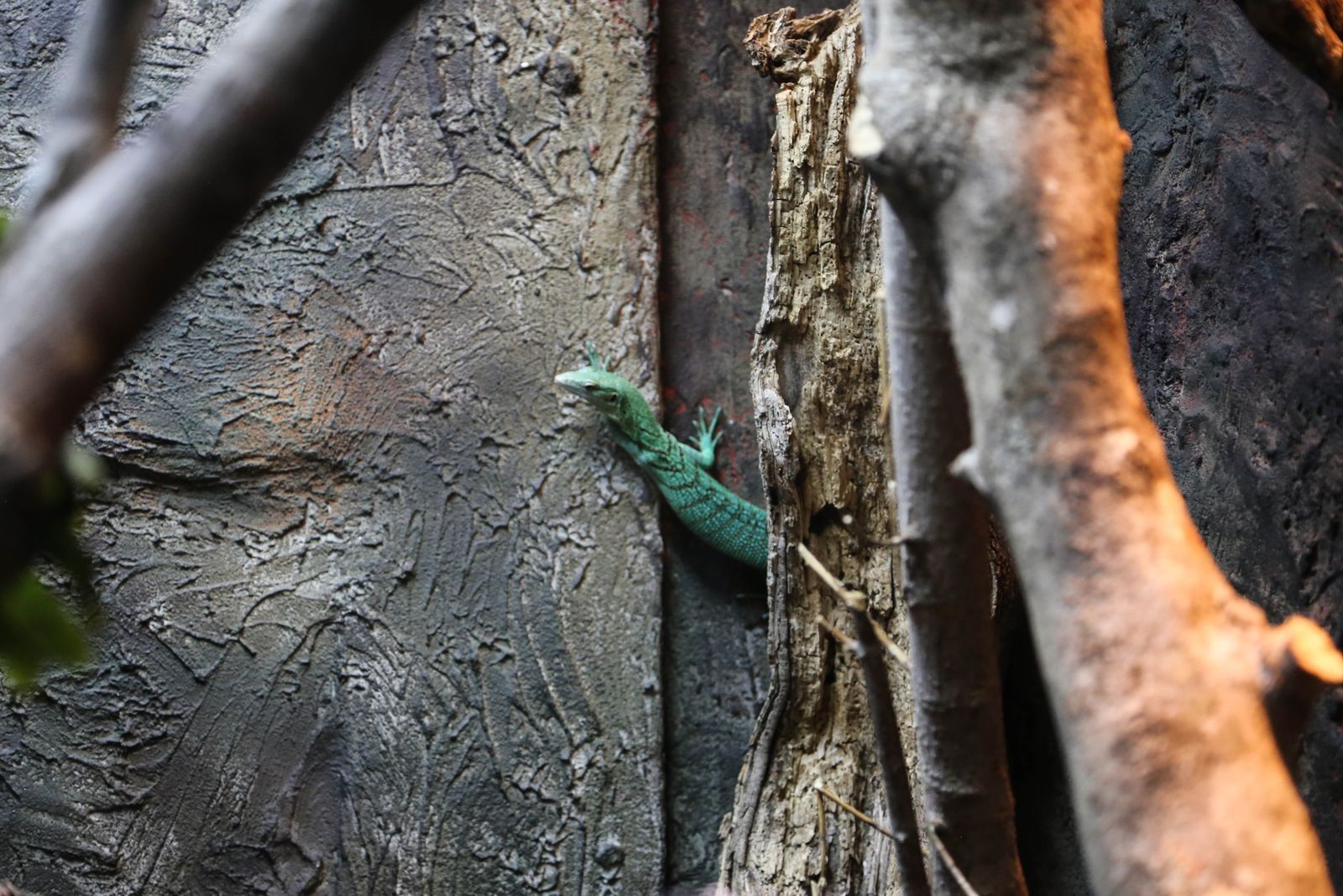 © Isabelle Mitchell - Image from the The Illusion of Preservation photography project