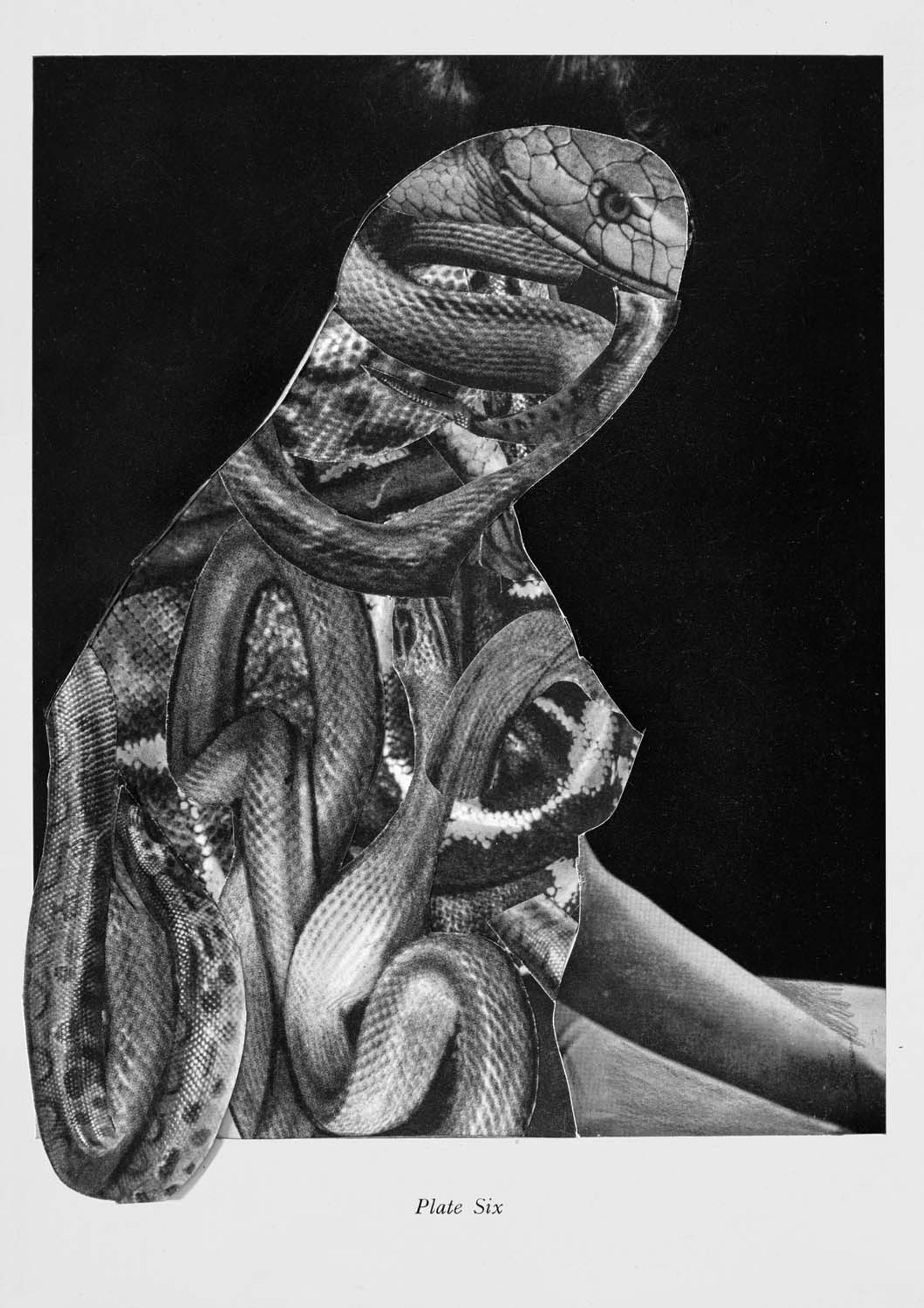 © Magdalena Hueckel - Image from the Nagie / Nudes photography project