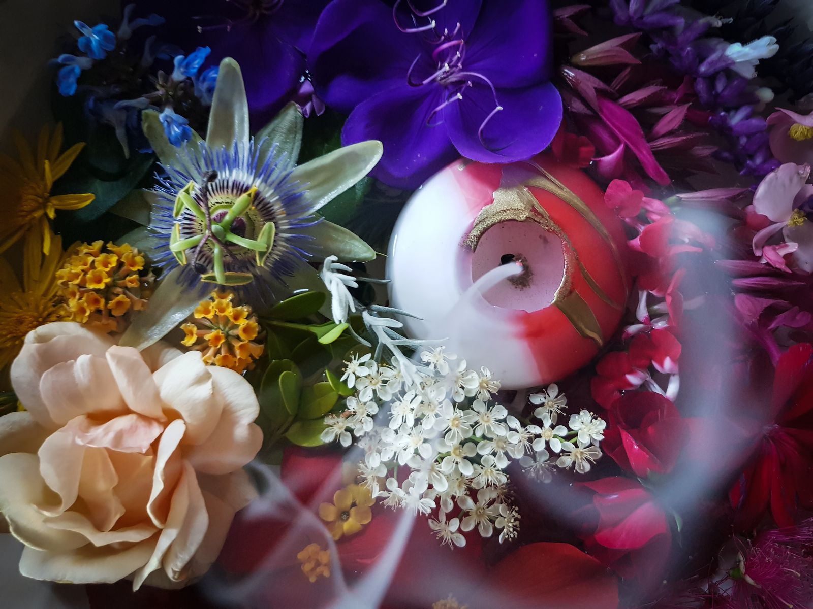 © Emily Lindsay Brown - In lockdown, the delicacy and diversity of flowers brought in from outside seems sacred.