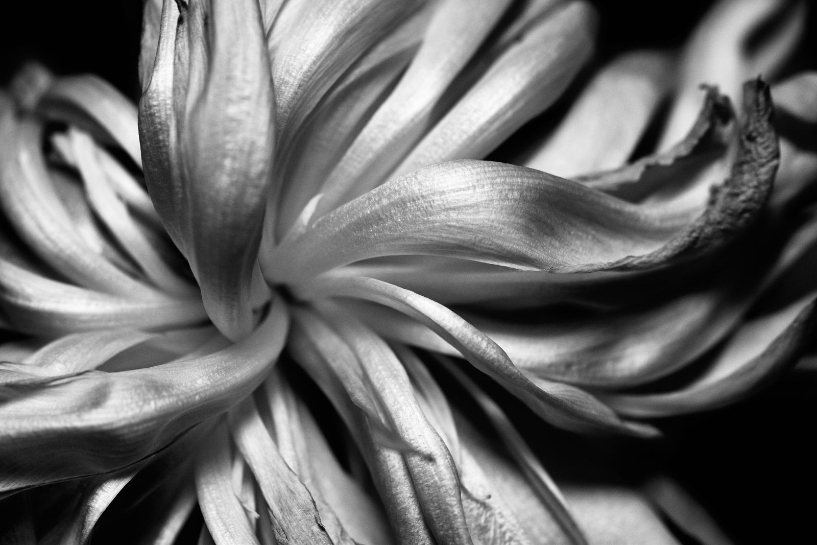 © Teri Arthur - Satin sheets