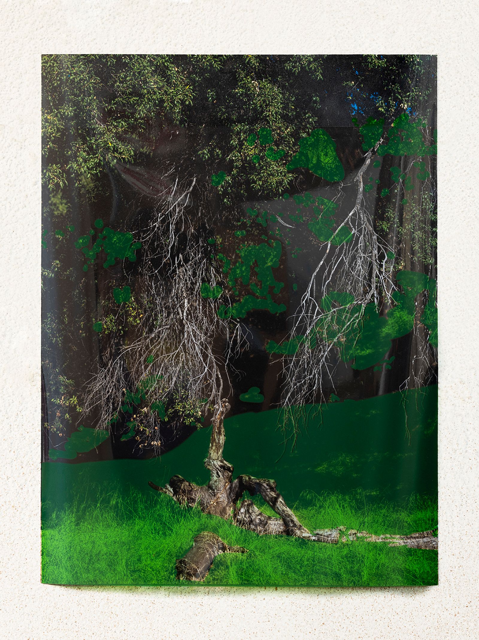 © Christine Atkinson - "just paint it green" inkjet print and clear plastic film 15" x 20" 2020