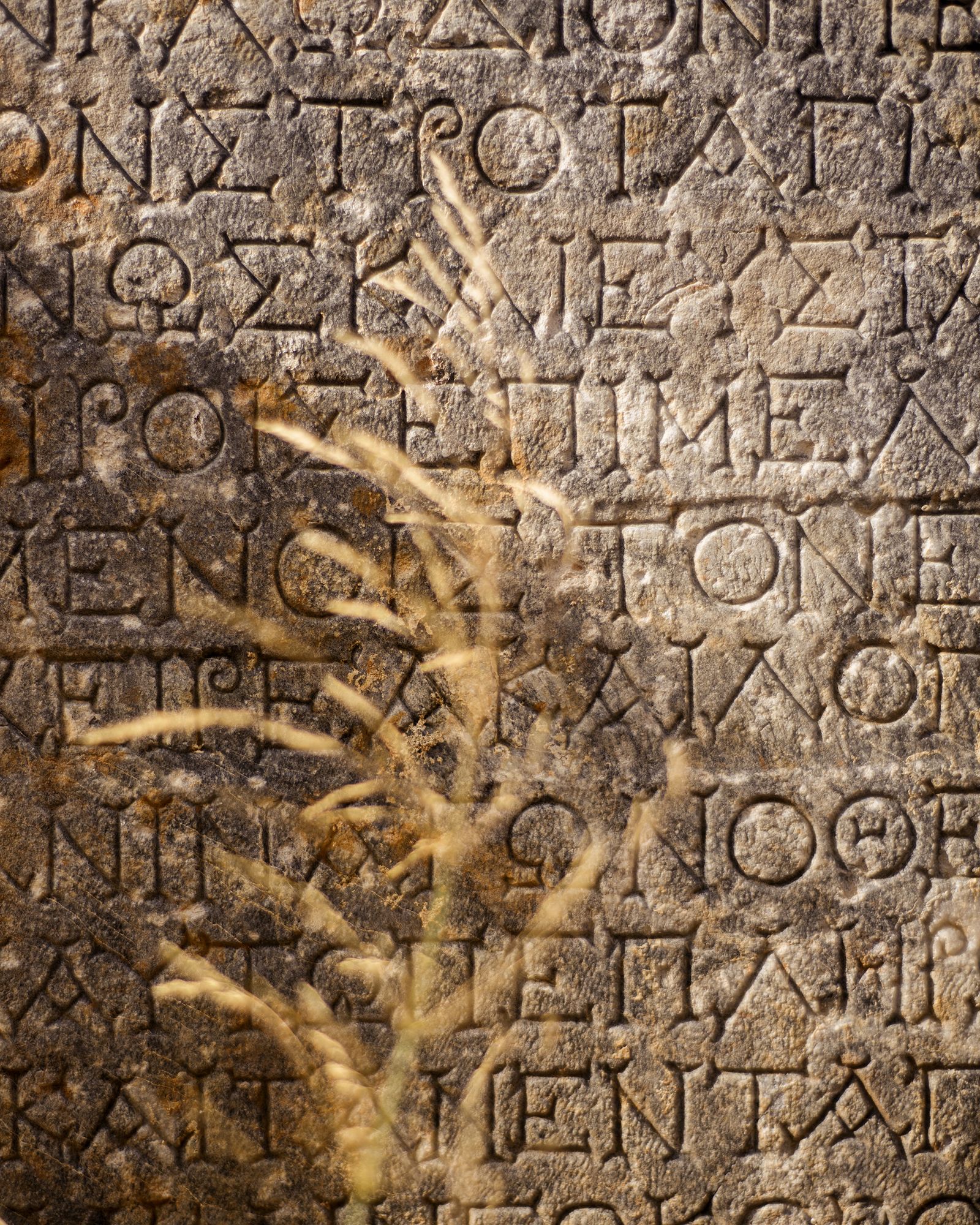 © Agathe Kalfas & Mathias Benguigui - Ancient Greek inscription on a column of the thermal baths in the village of Paralia Thermis. 2020.11.06