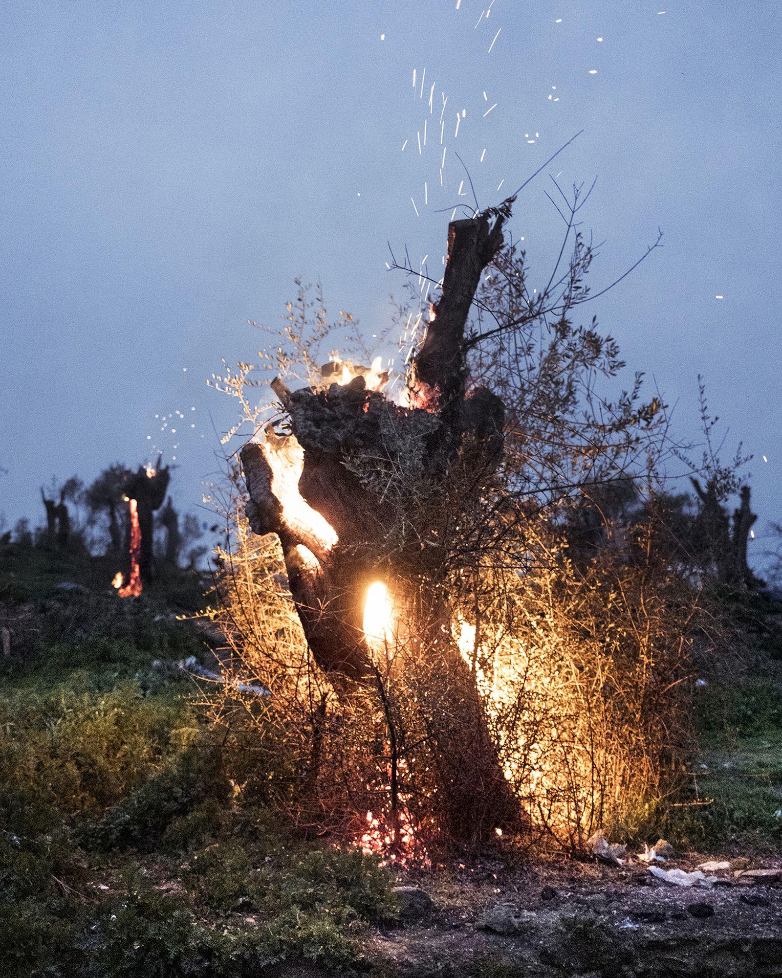 © Agathe Kalfas & Mathias Benguigui - Olive trees burning in the informal part of Moria camp. 2020.02.14
