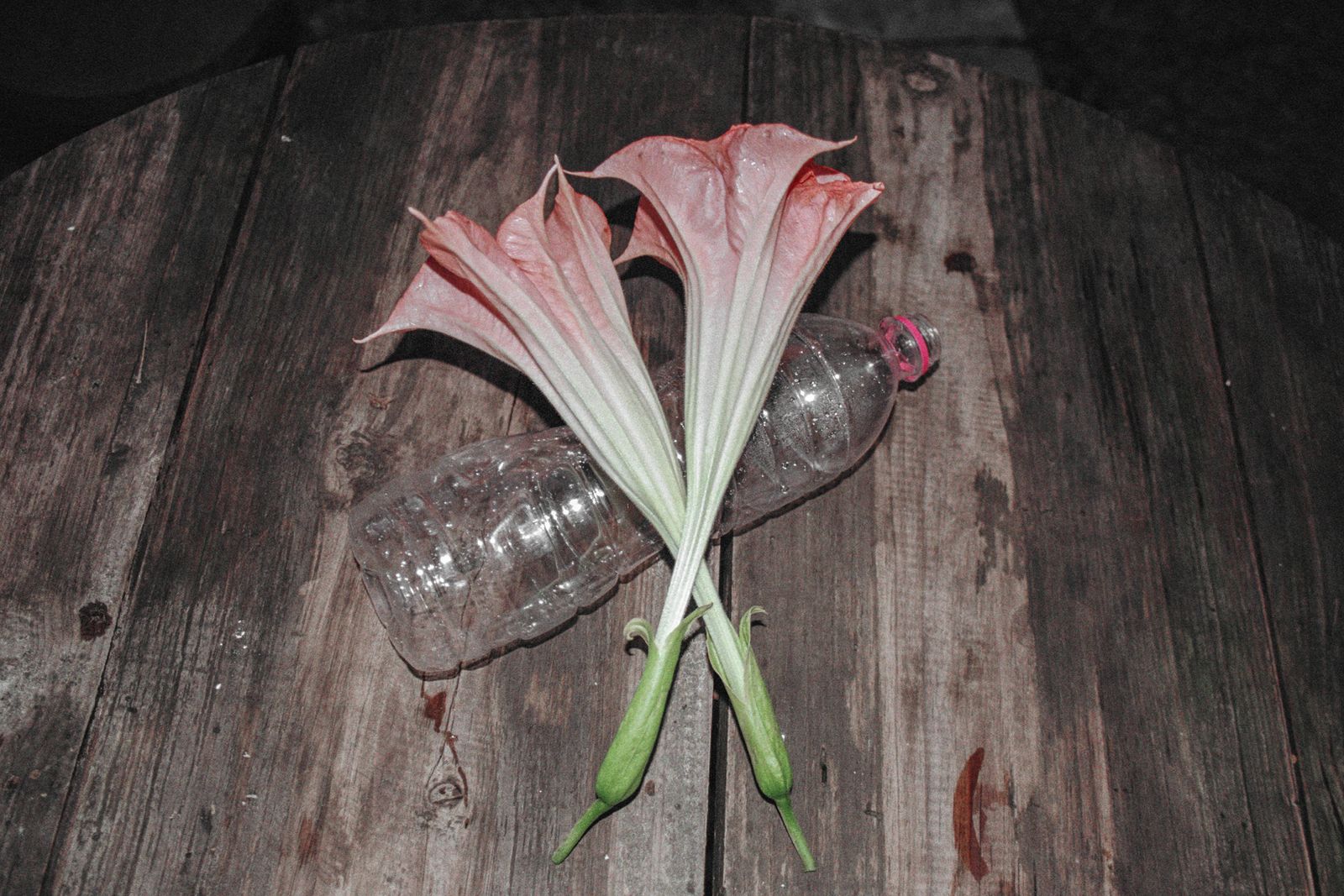 © Kıvılcım S güngörün - Poisoned double, Pokhara, 2023