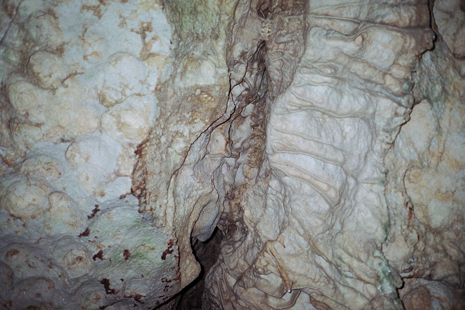 © Kıvılcım S güngörün - Caveskin, Antalya, 2019