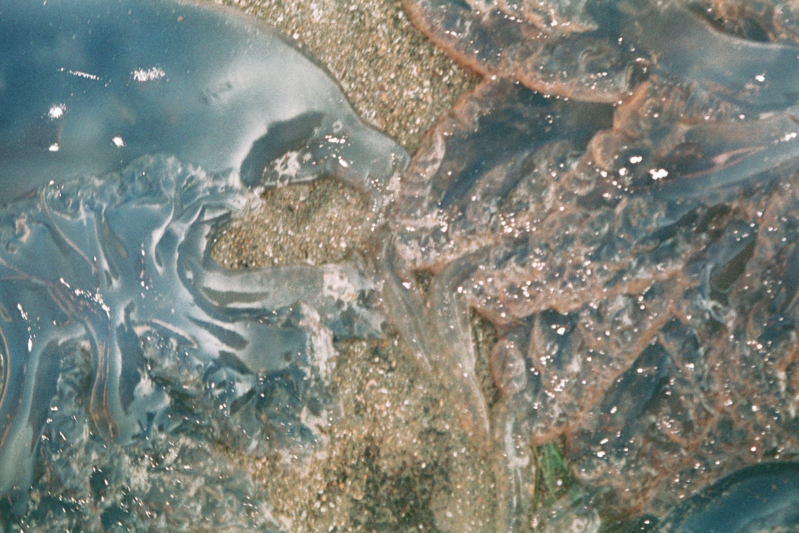 © Kıvılcım S güngörün - Image from the meltaround photography project