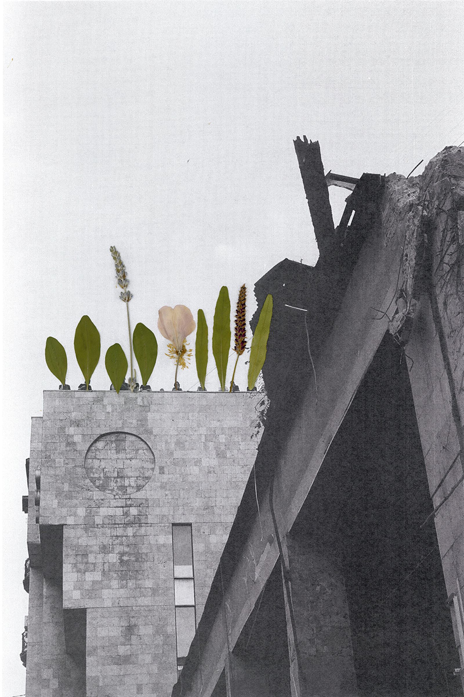 © Daria Senchikhina - Image from the Kvity Ukrainy photography project