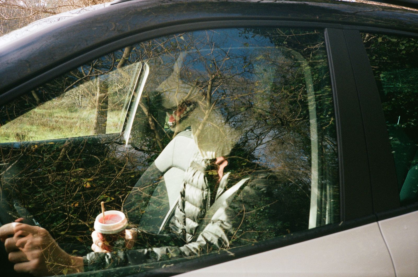 © Daria Senchikhina - Image from the Doggo photography project