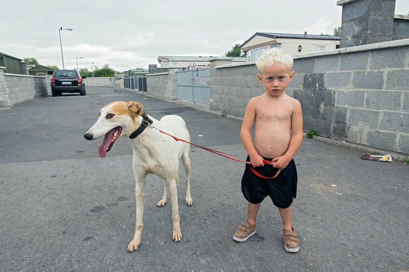 © Joseph-Philippe Bevillard - William with His Pet Lurcher, Limerick, Ireland 2018
