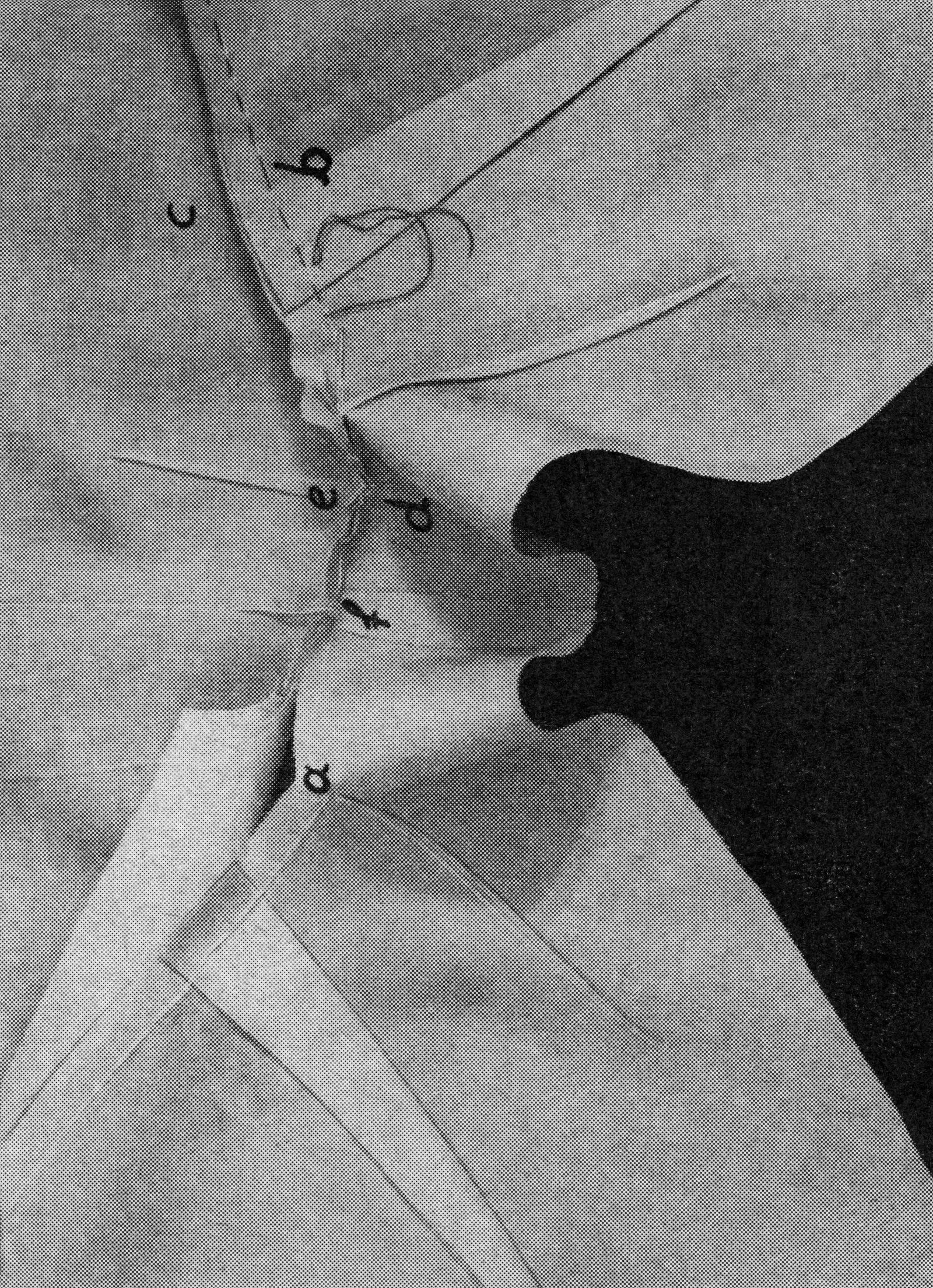 © Anya Jasbar - Thread No.2 (a, f, e, c, b), 2021