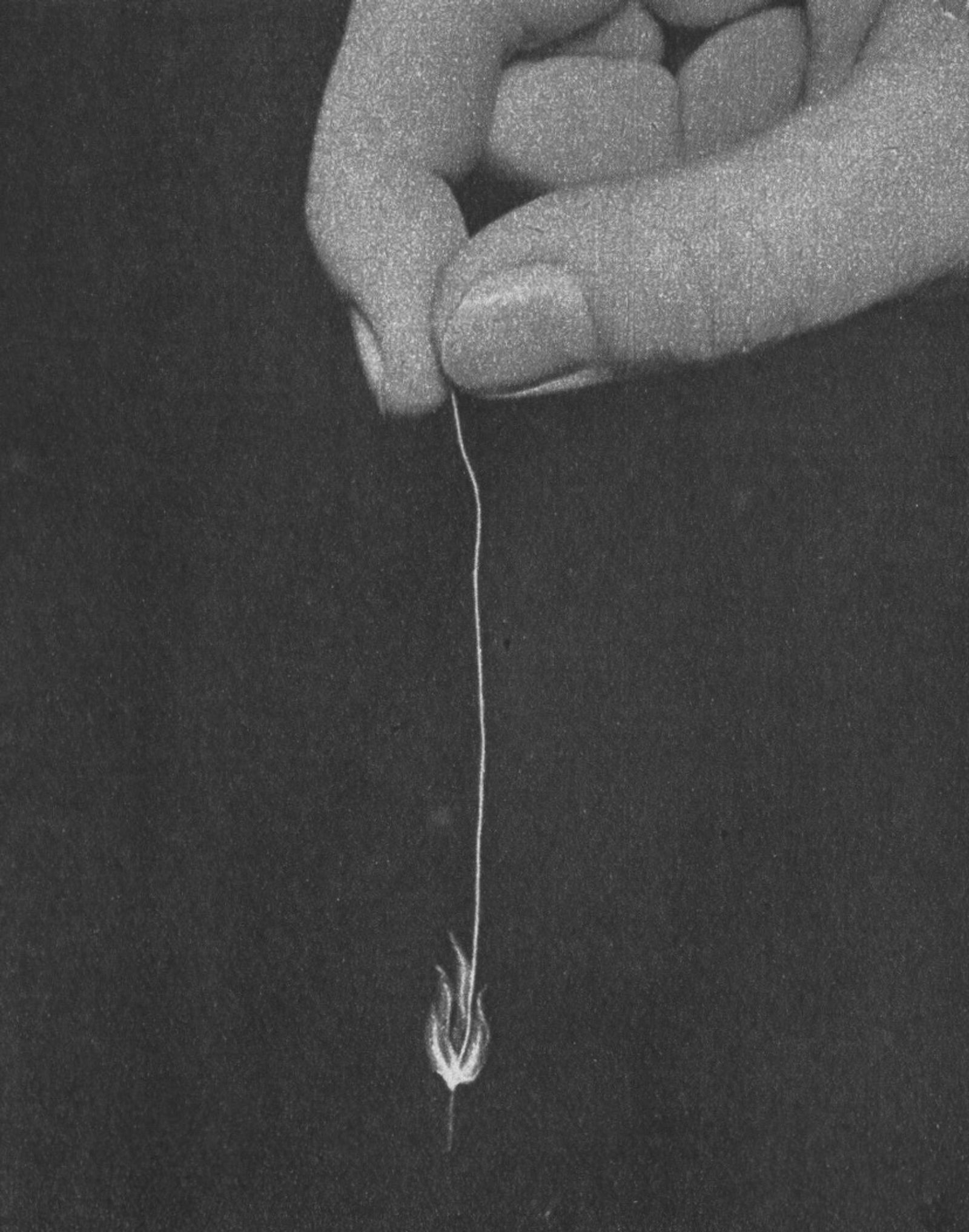 © Anya Jasbar - Sintetico Synthetic, 2021