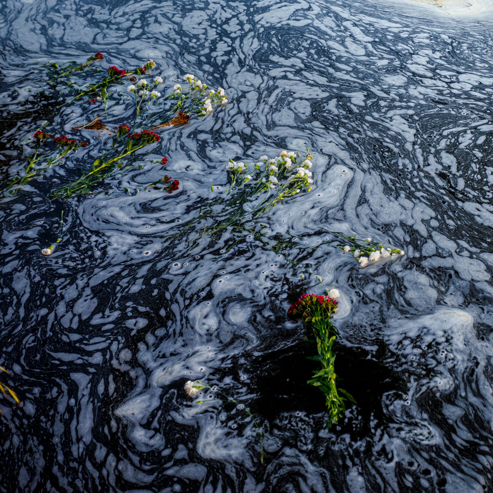 © Johanna Maria Fritz - Flowers to be thrown into the river Chitila during a witches’ ritual. Mogoșoaia, Romania, 2019.
