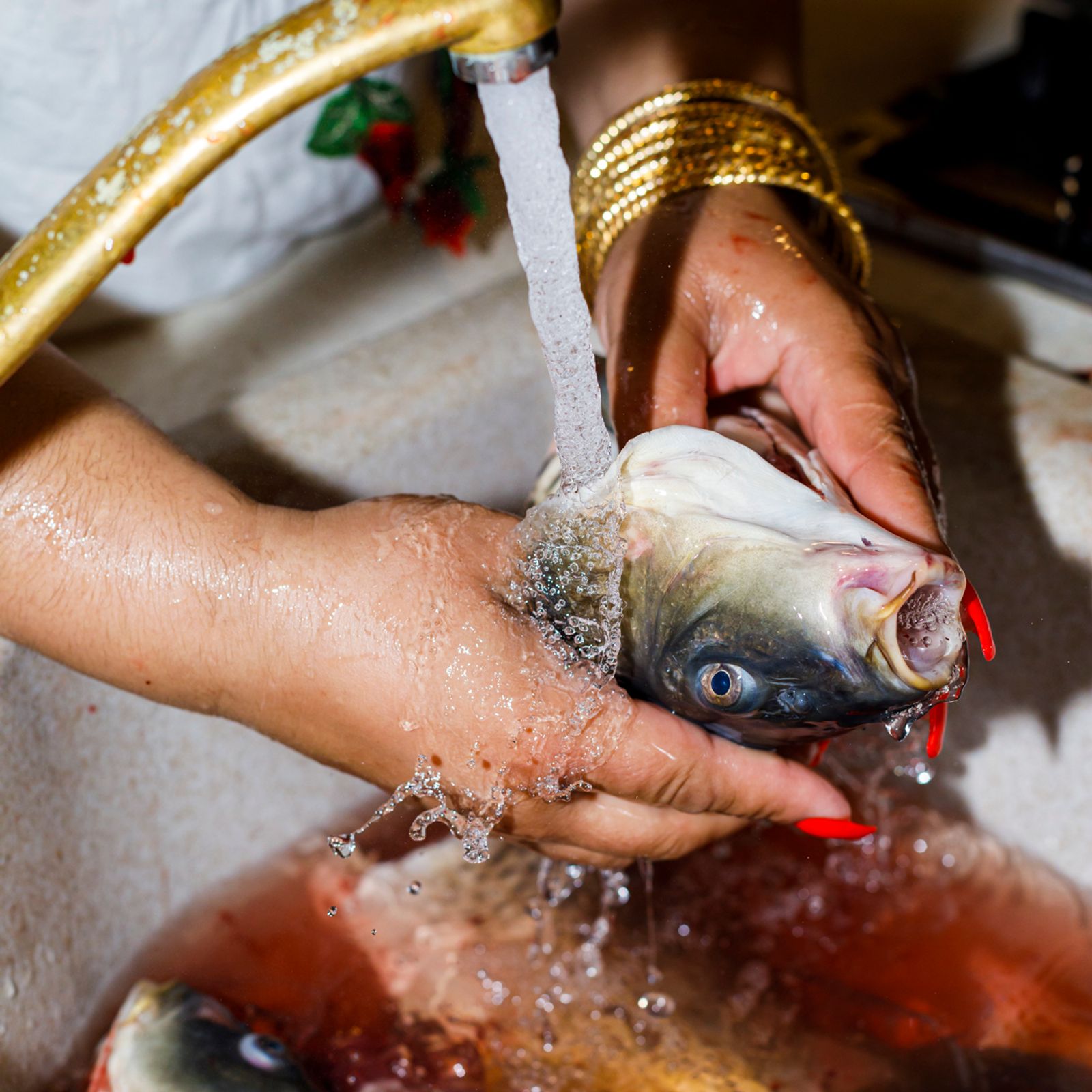 © Johanna Maria Fritz - Mihaela prepares a fish for dinner at her house. Mogoșoaia, Romania, 2019.