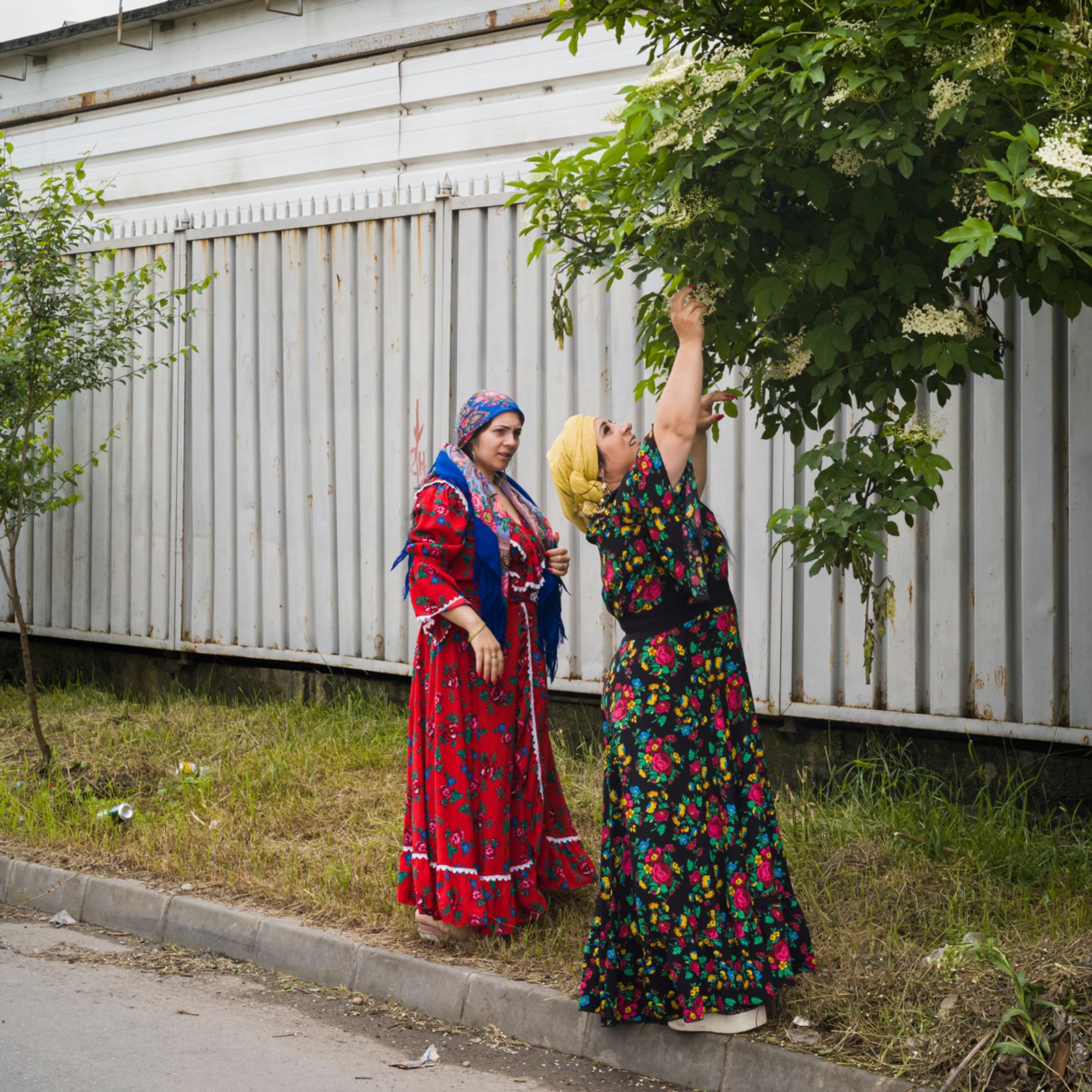 © Johanna Maria Fritz - Ana and Mihaela gather elderflowers for their ritual by the roadside. Mogoșoaia, Romania, 2019.