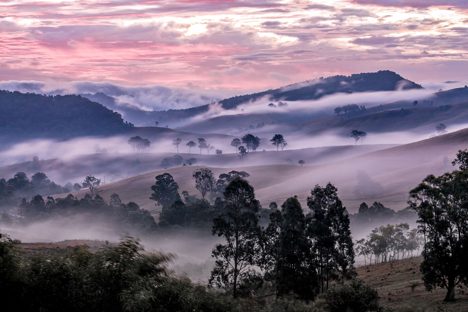 © Az Jackson - Strawberry Valley