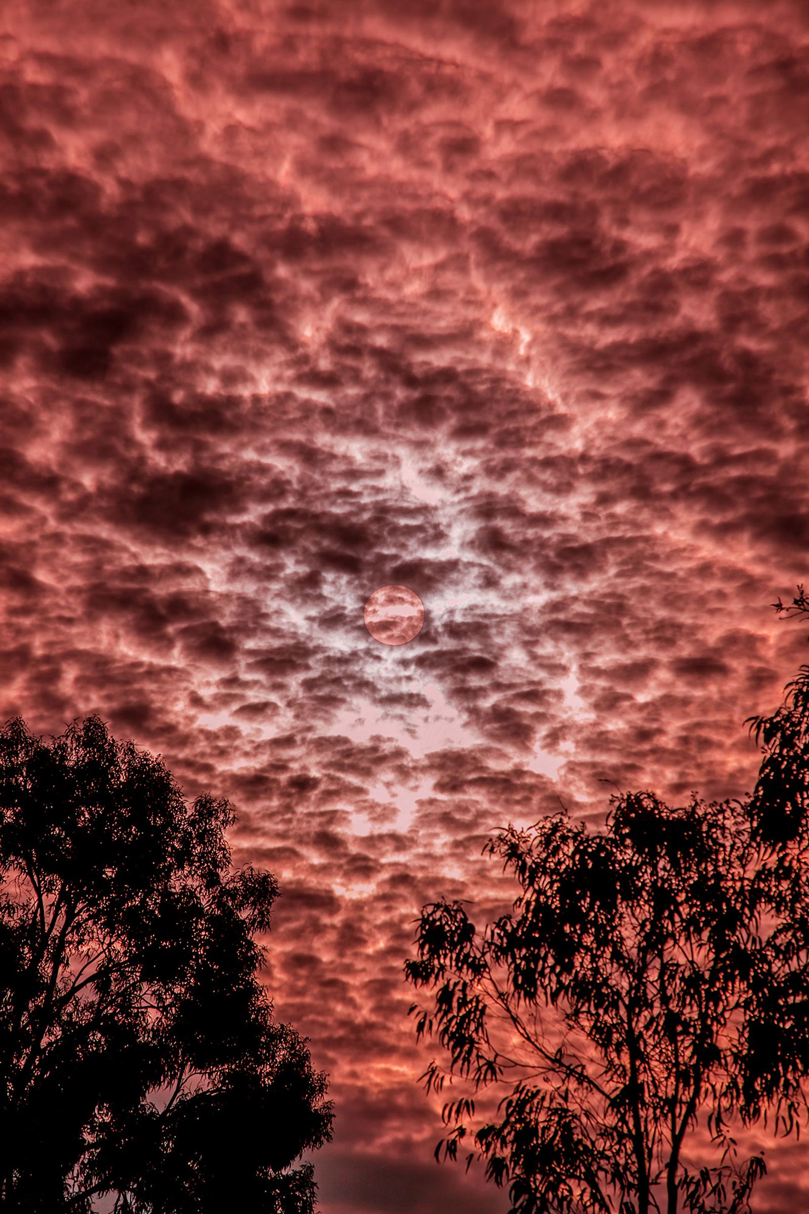 © Az Jackson - Breaking Heat