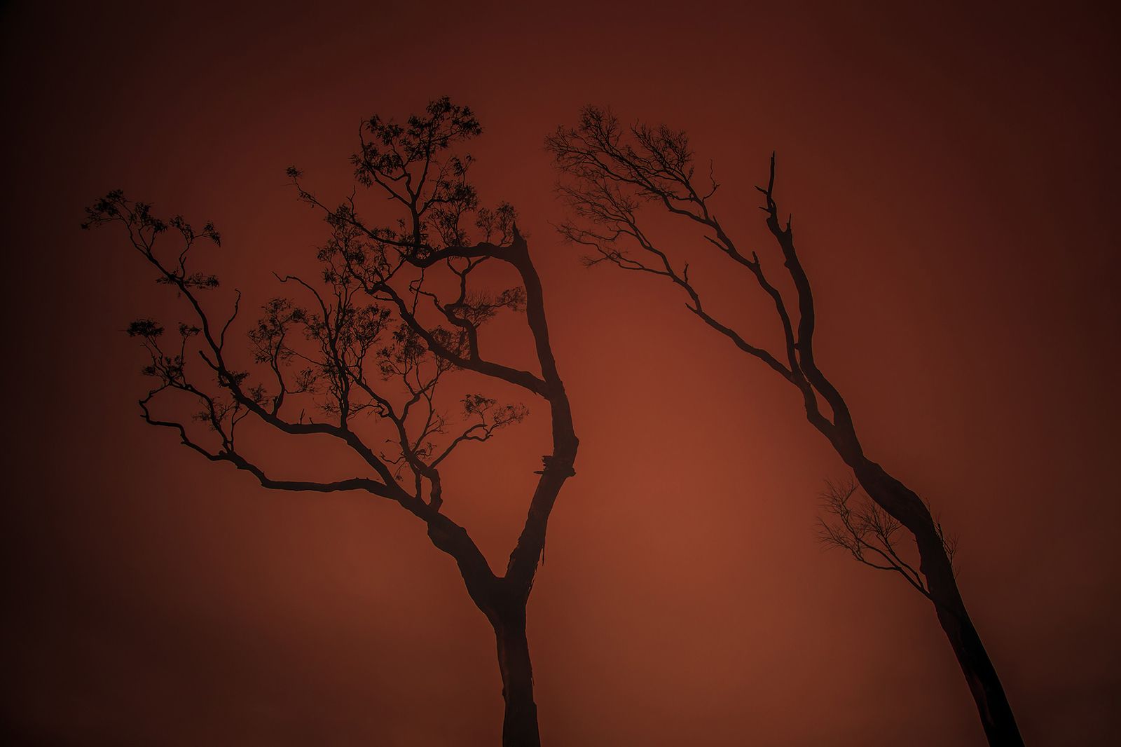 © Az Jackson - Disparity