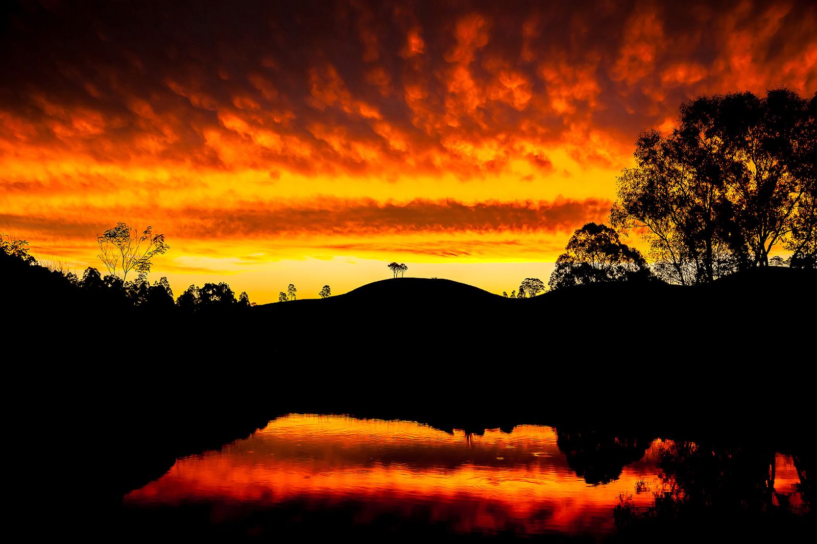 © Az Jackson - Firestorm