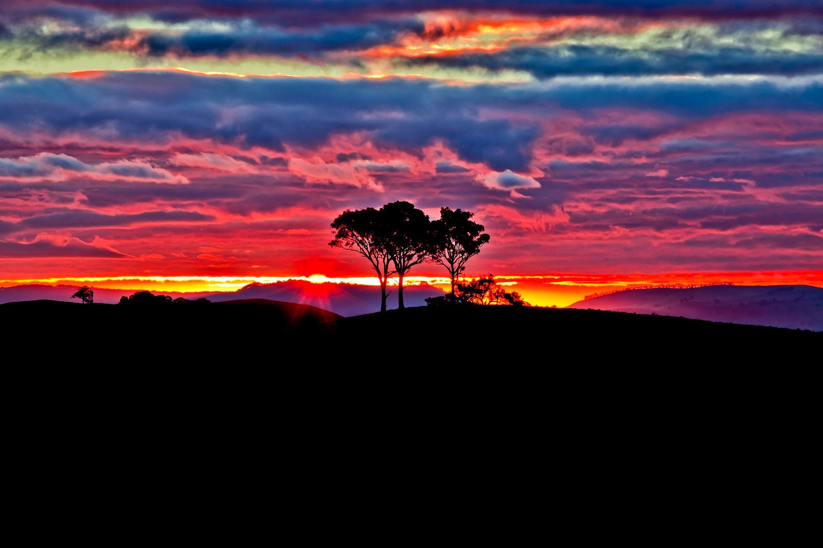 © Az Jackson - Sunset Dreams