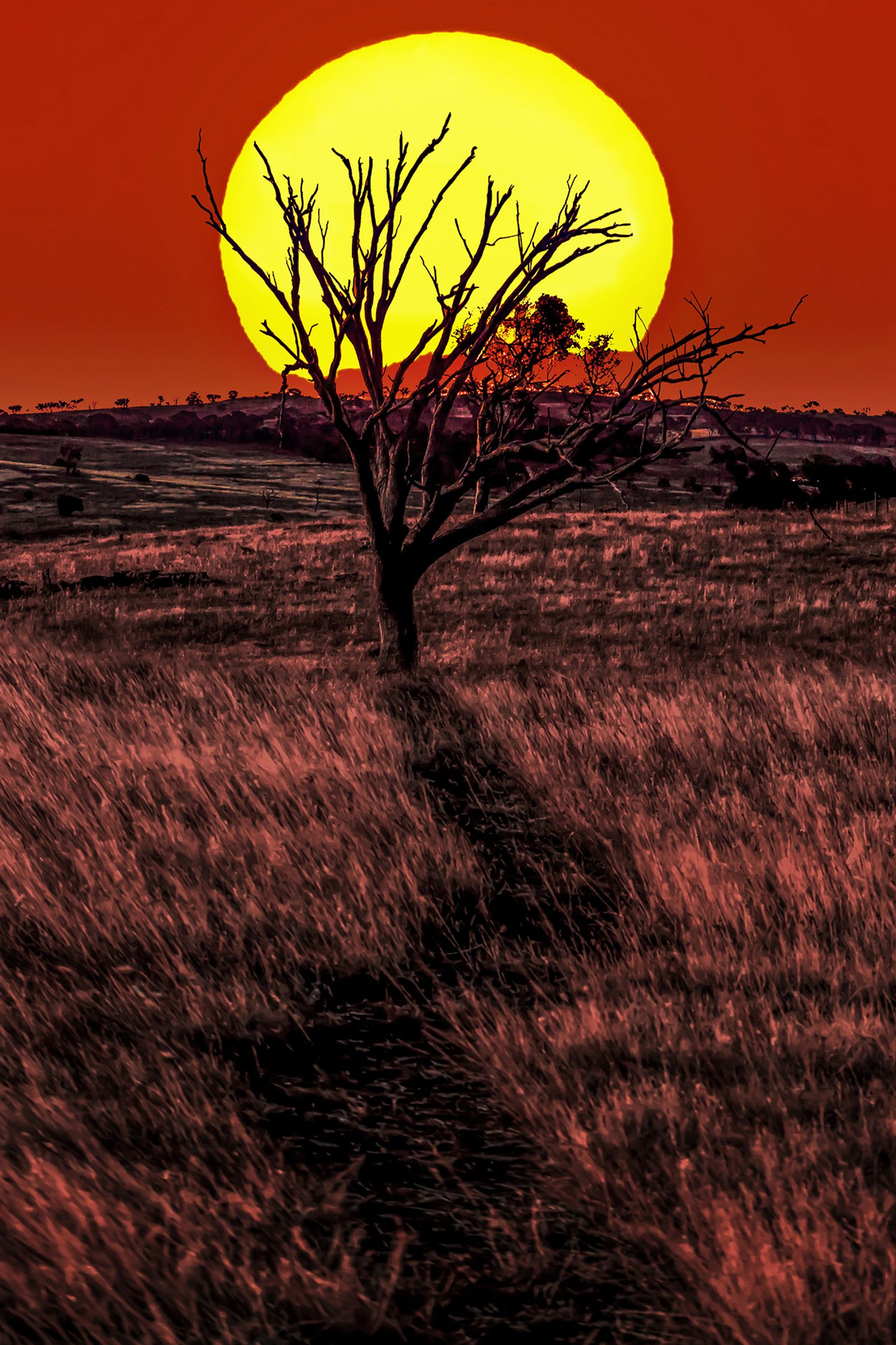 © Az Jackson - Sundowner