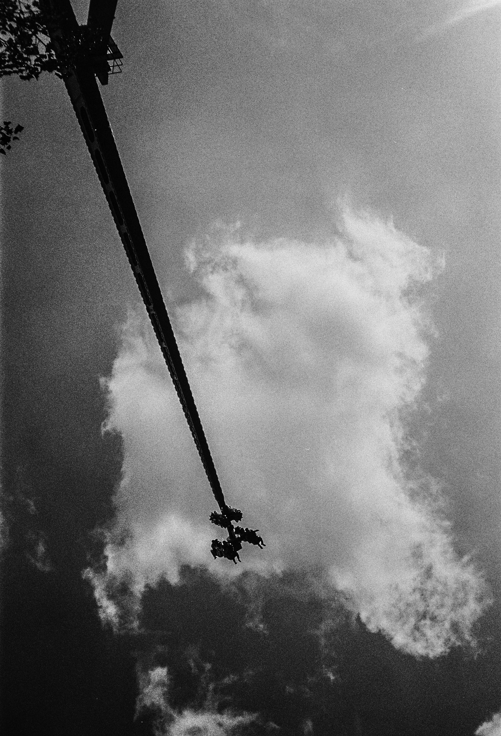 © Jonathan Cuadros - Image from the Saudade (As flowers close up in the night) photography project