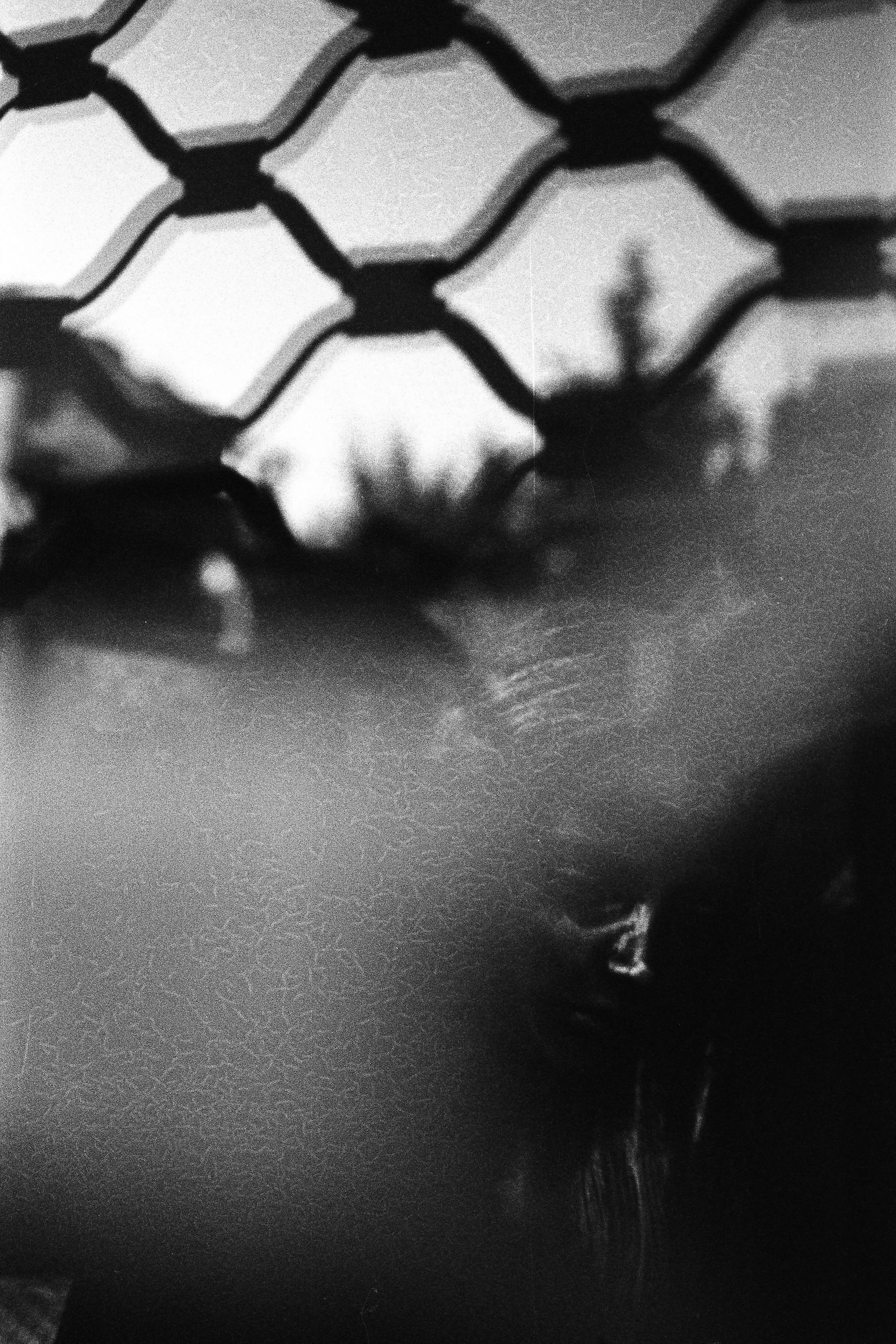 © Jonathan Cuadros - Image from the Saudade (As flowers close up in the night) photography project