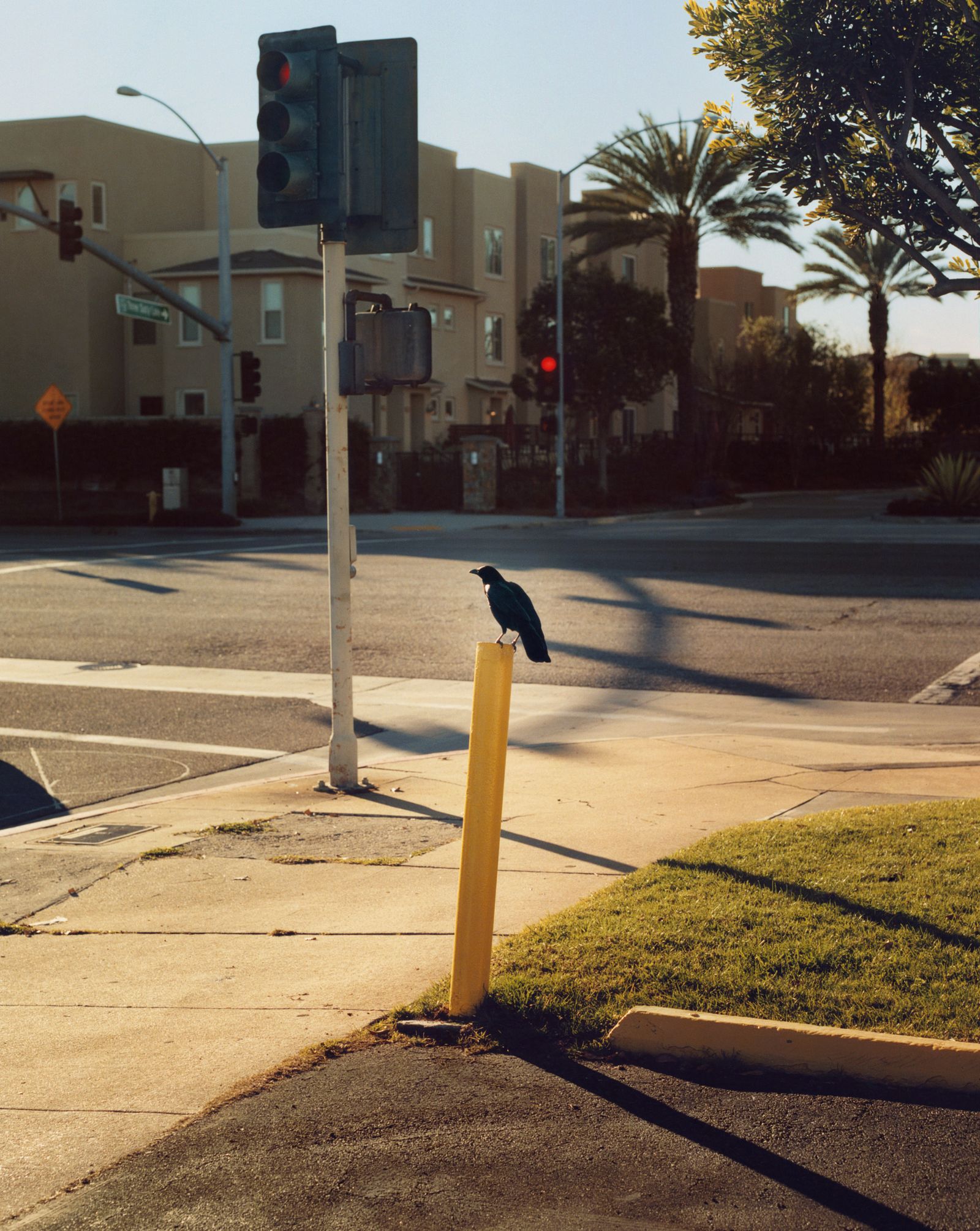 © Niall OBrien - Image from the 405 photography project