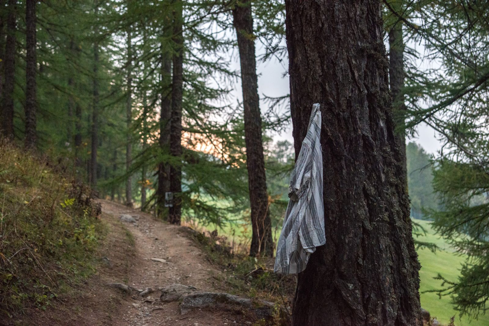 © Rose Lecat - A shirt hangs from a branch of a tree on the path of crossing the Alps. Montgenèvre, Italie-France border, October 5, 2018.