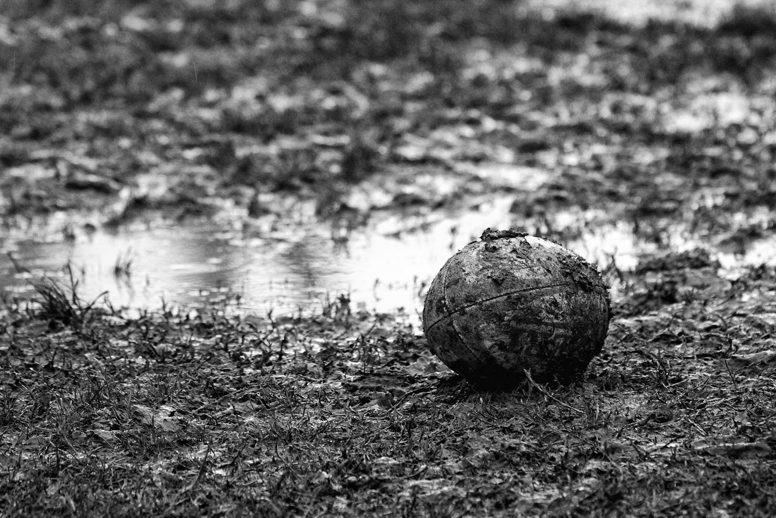 © Milla Mariani - Image from the Field_Experiment photography project