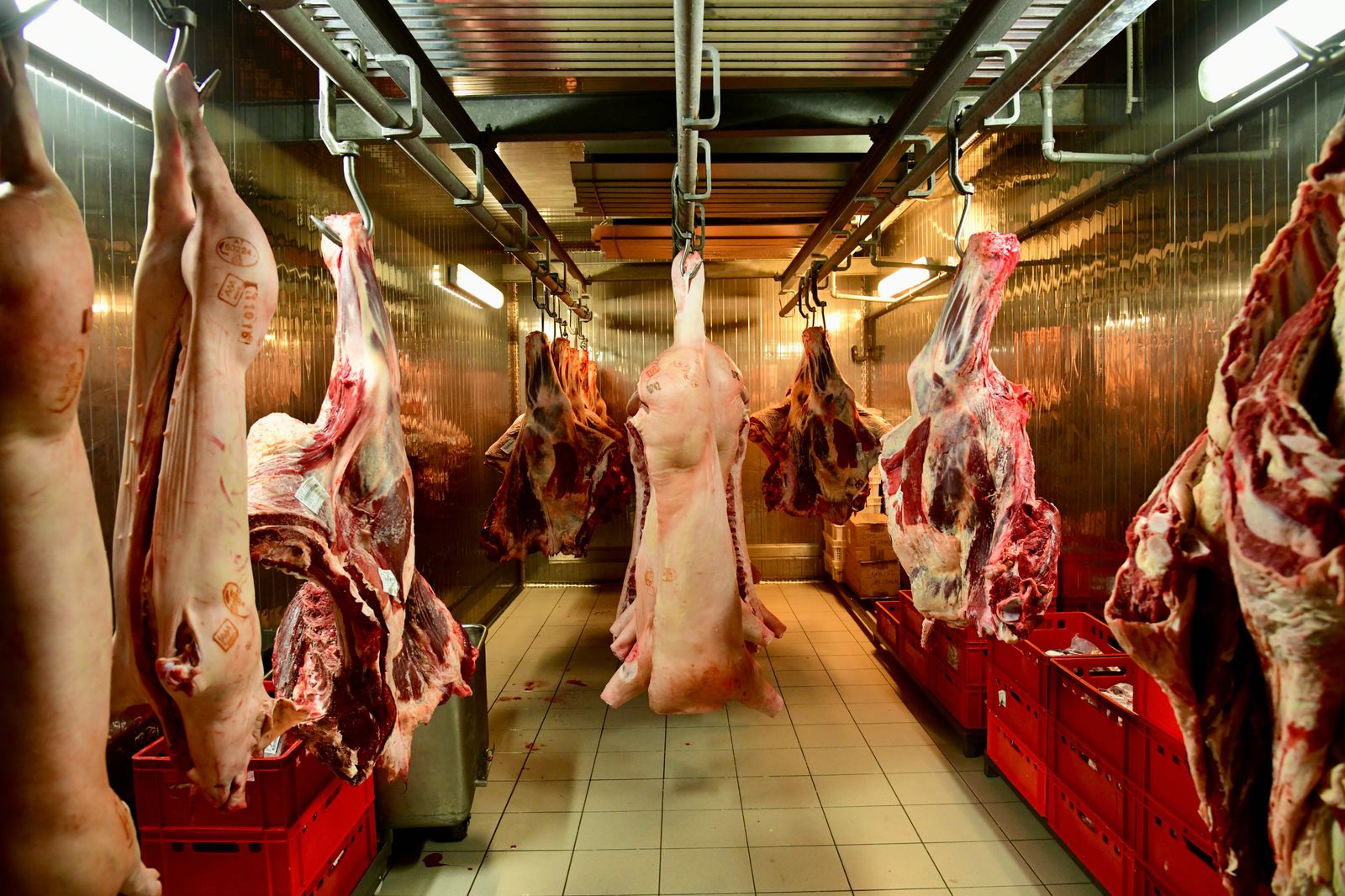© Ema Širec - Image from the MEAT photography project
