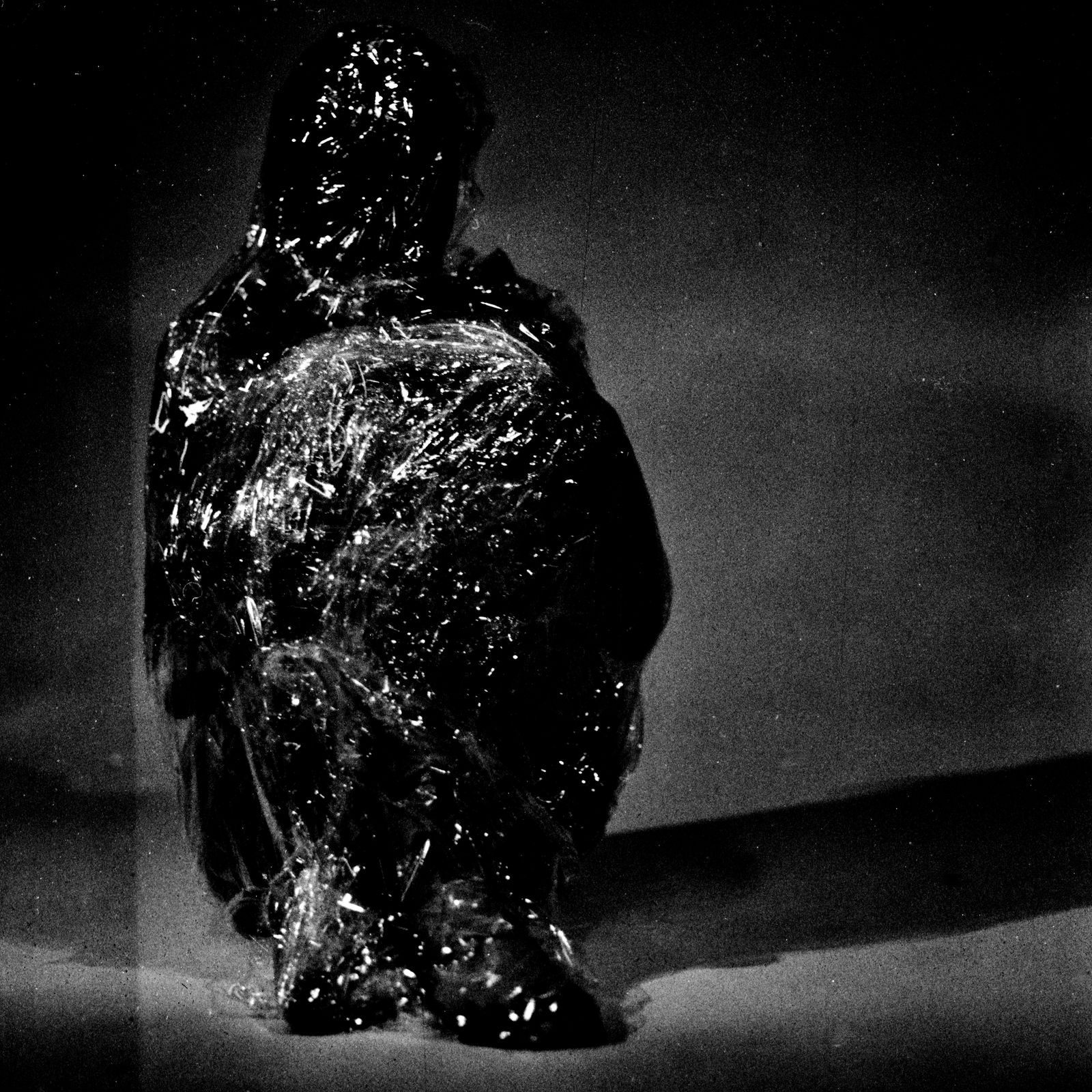 © Ema Širec - Image from the MEAT photography project