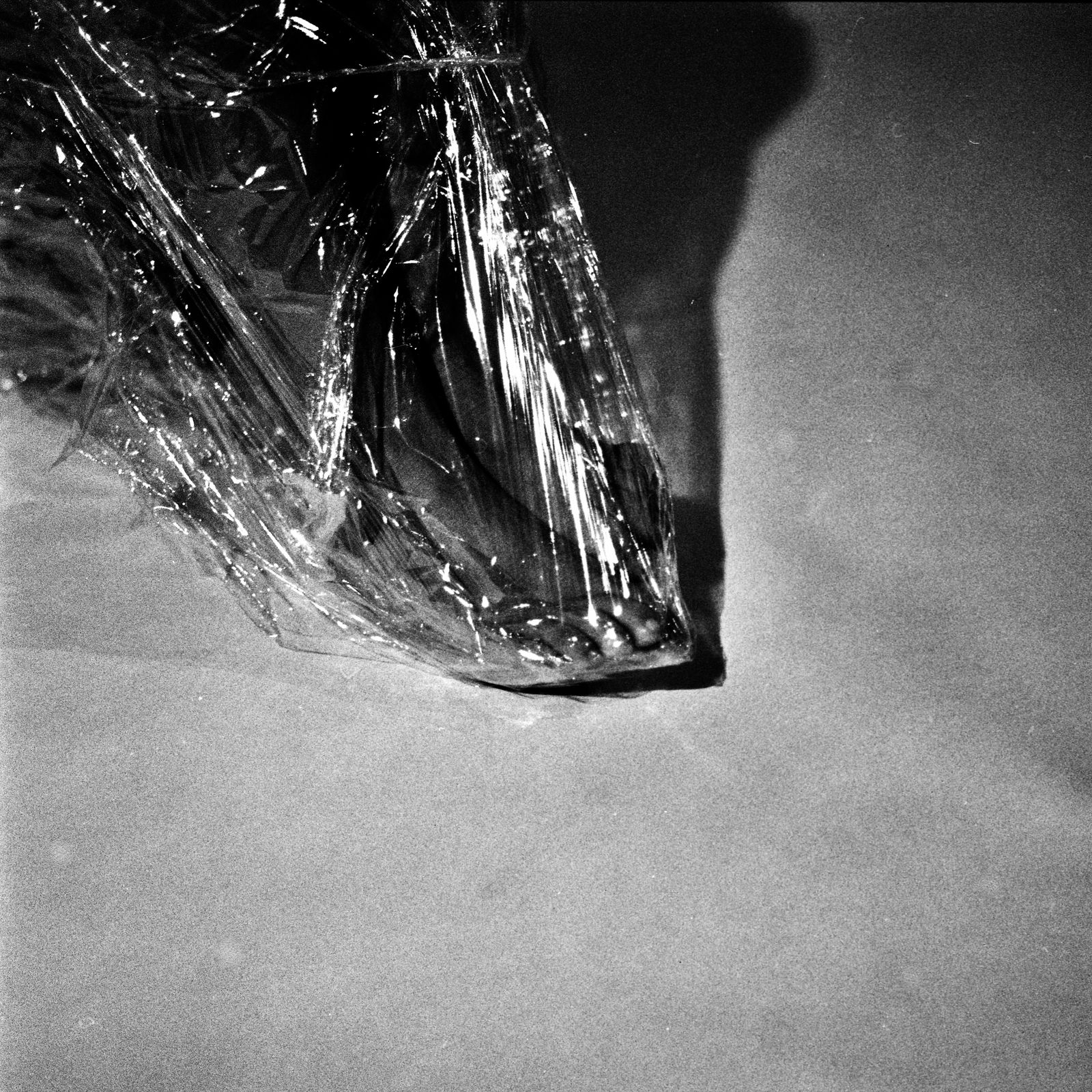 © Ema Širec - Image from the MEAT photography project