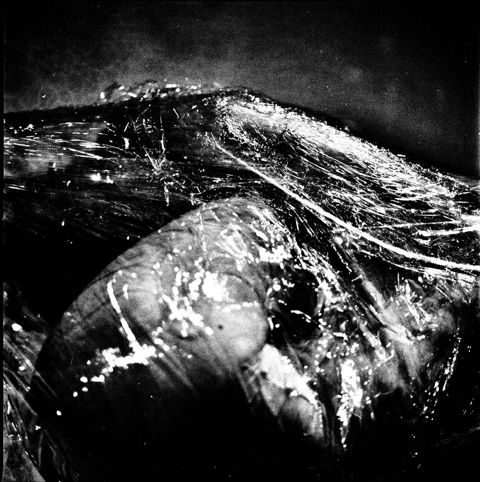 © Ema Širec - Image from the MEAT photography project