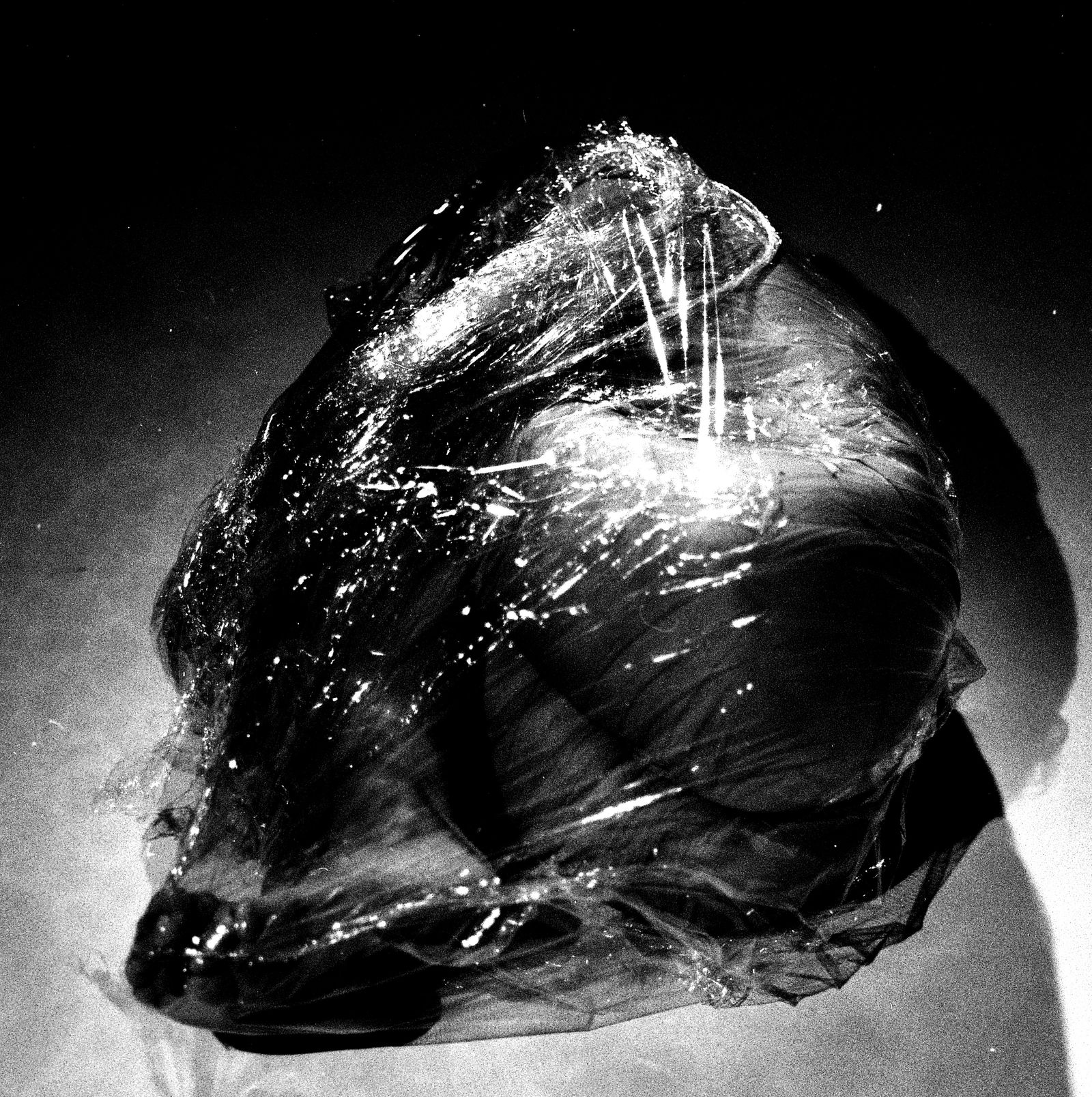 © Ema Širec - Image from the MEAT photography project