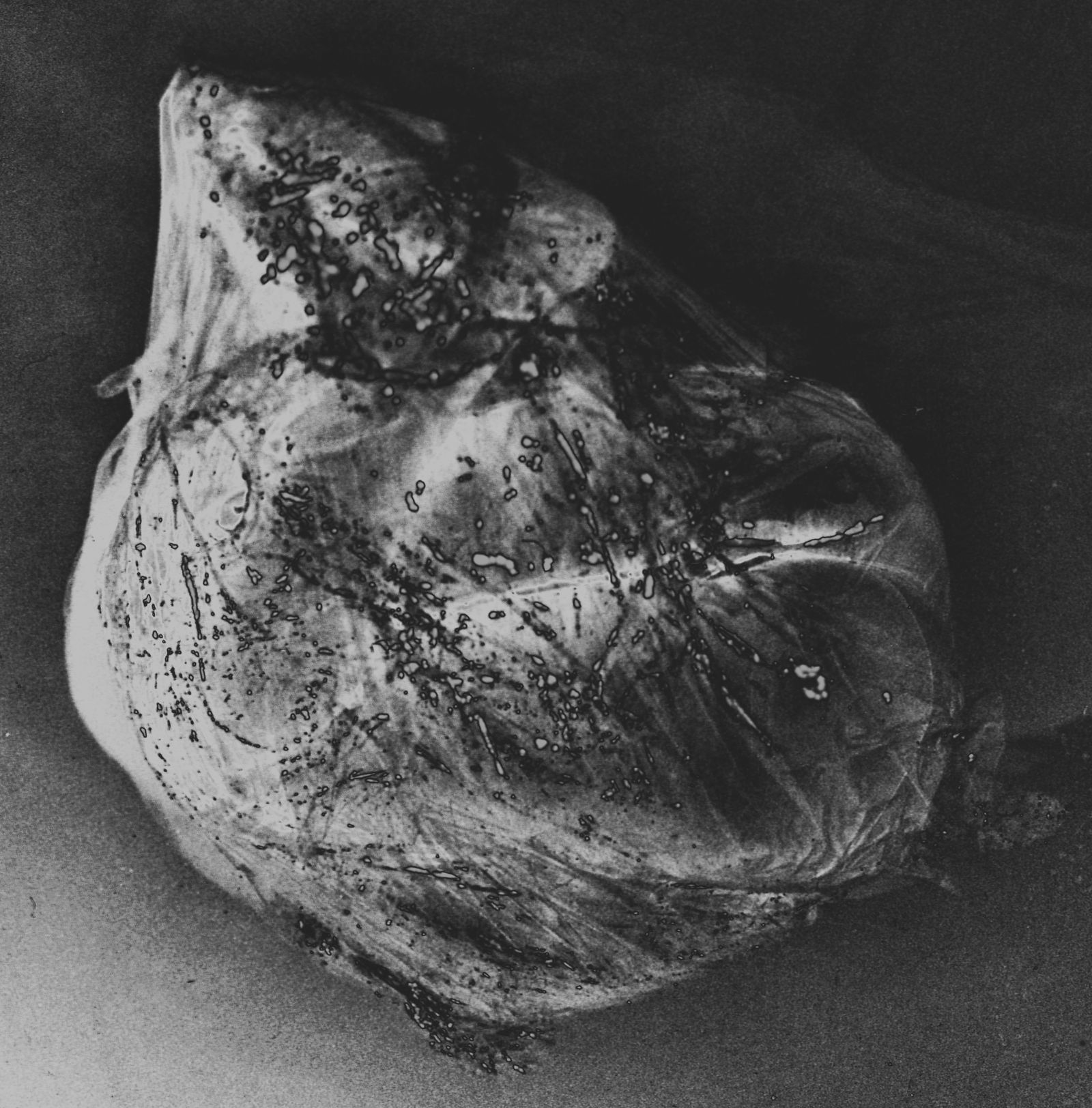 © Ema Širec - Image from the MEAT photography project