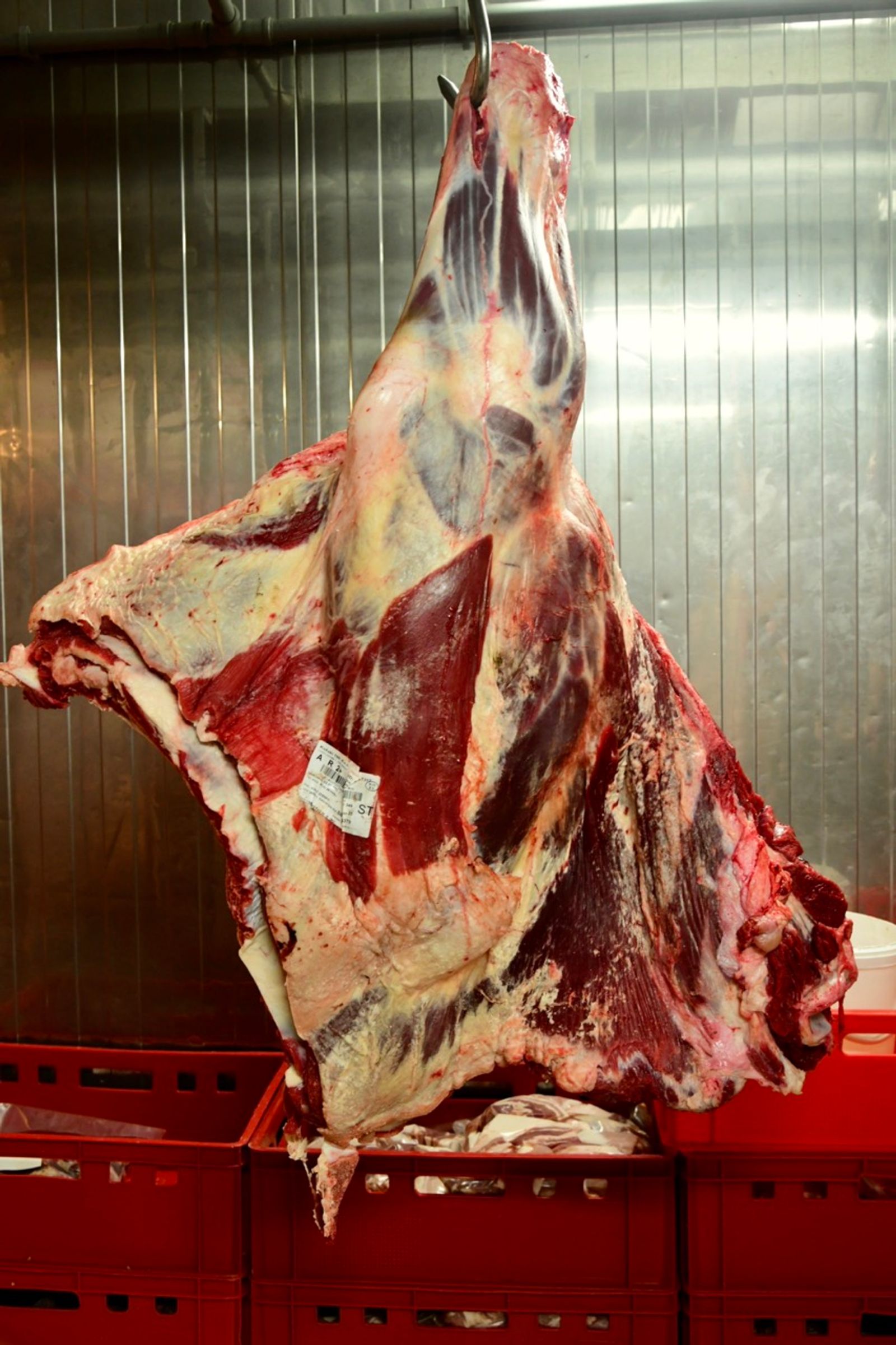 © Ema Širec - Image from the MEAT photography project